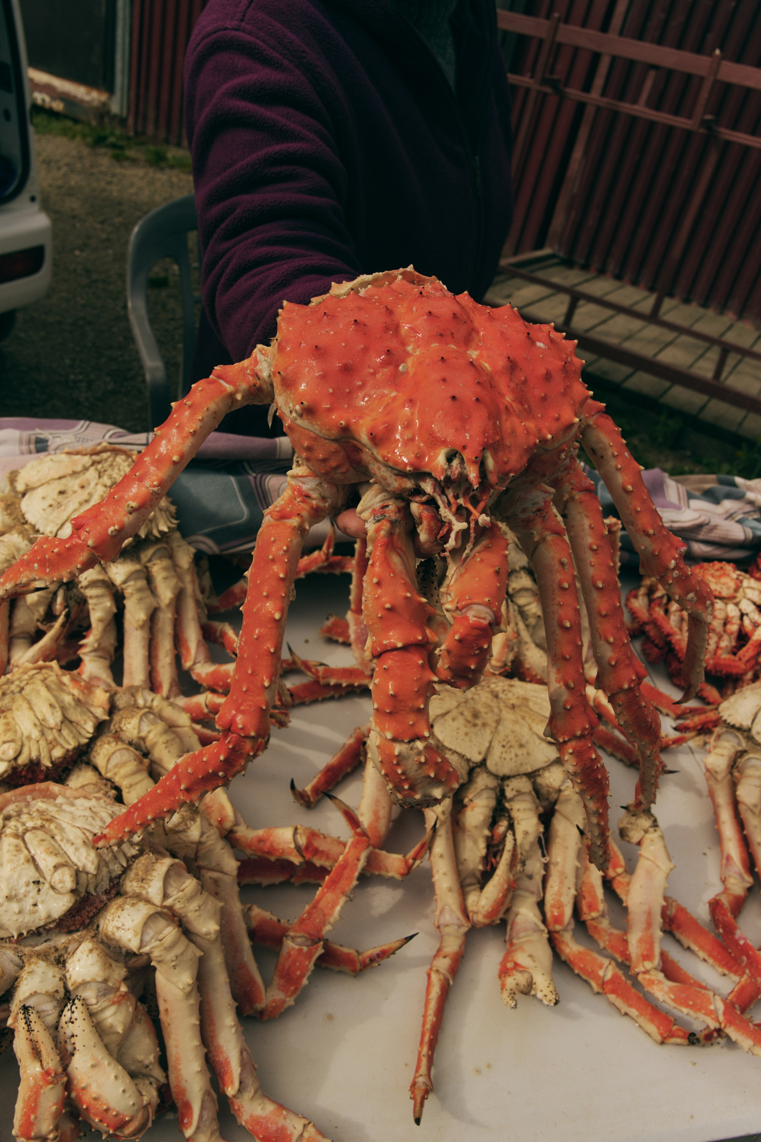 BAON x SAKHALIN. Фотограф Сурков Никита