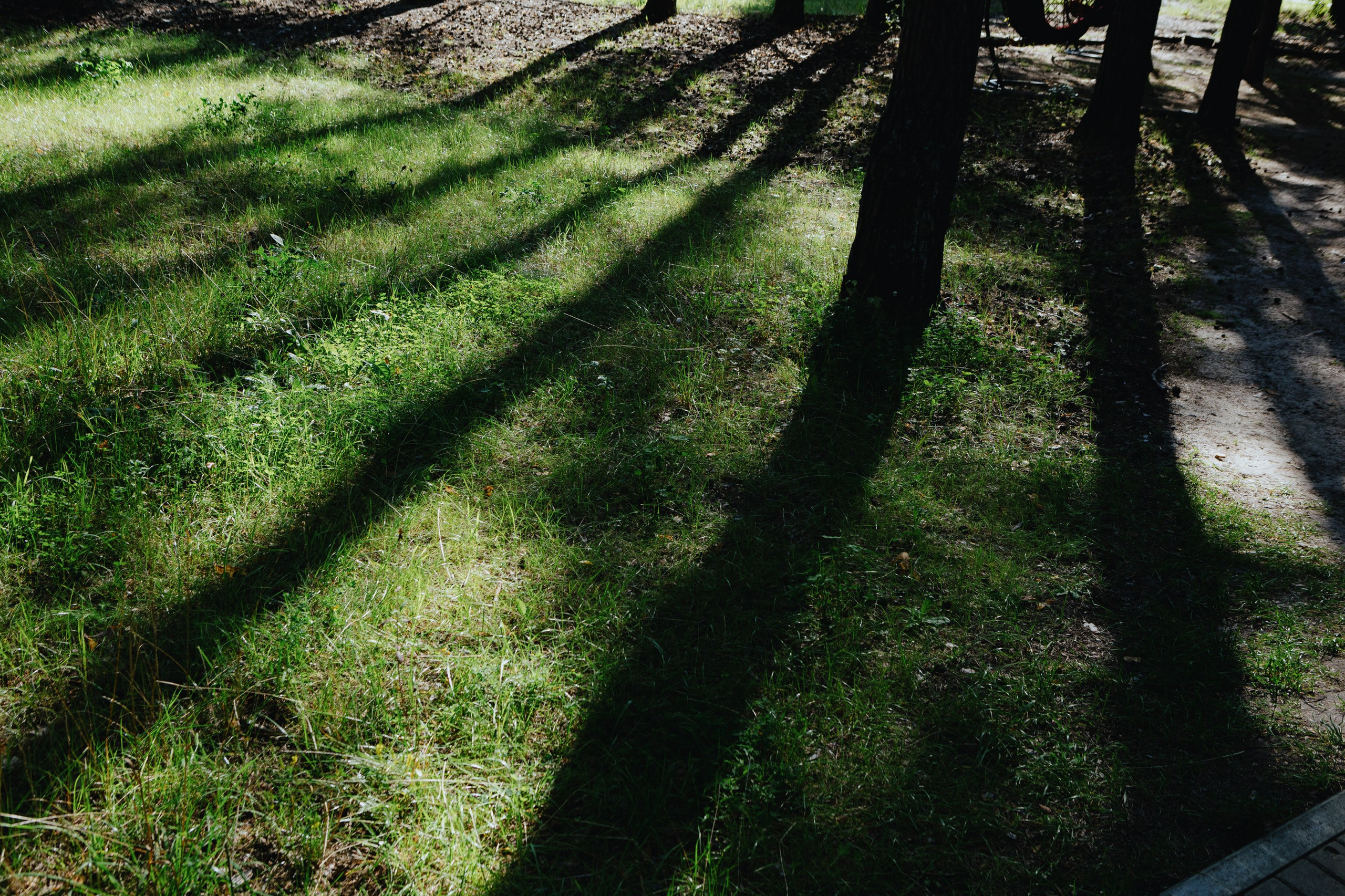 Павел и Алина. LEVORIGINAL