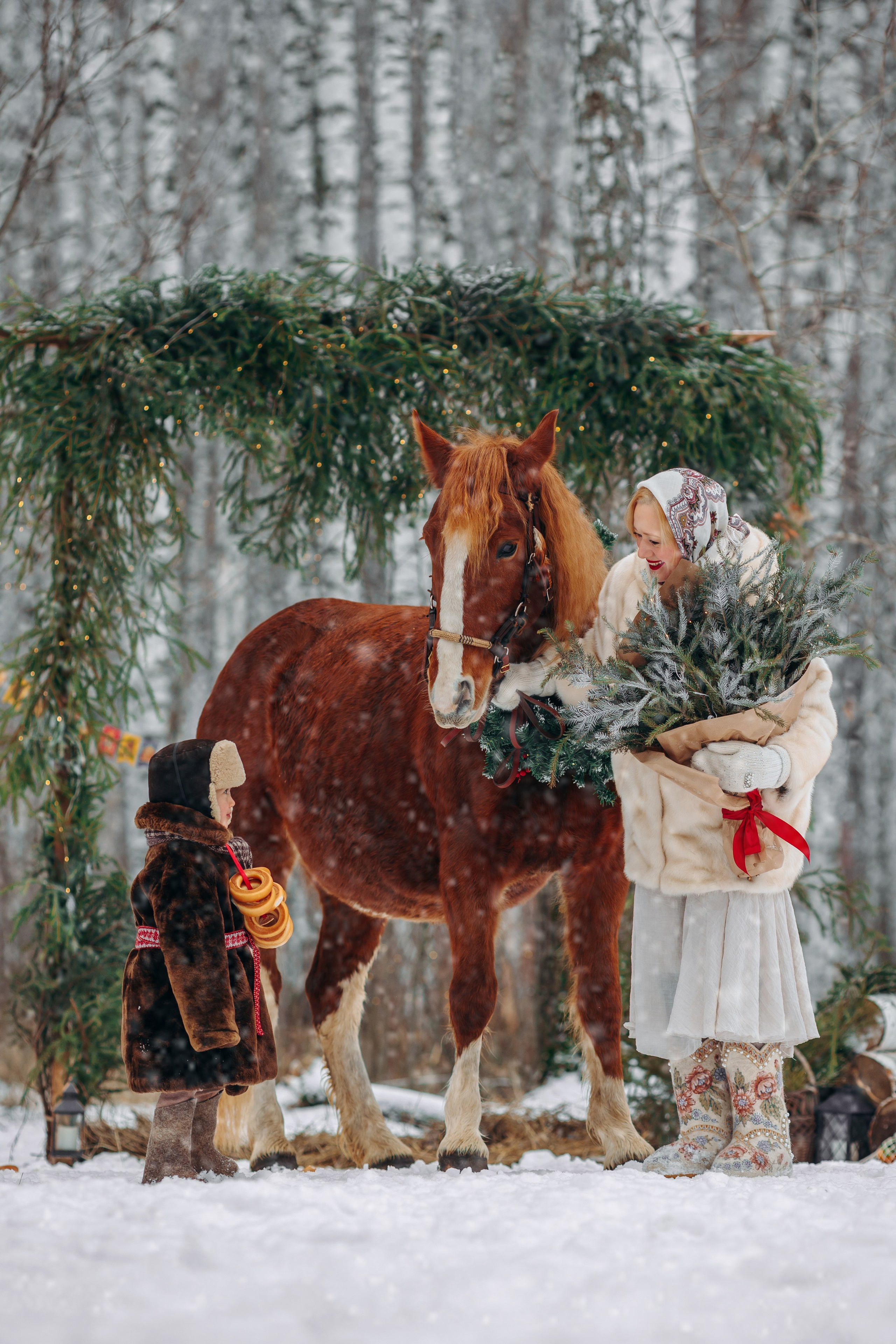Тариф Новогодний 2025-2026. Анна Молчанова конный фотограф в Тюмени | фотосессии с лошадьми Тюмень