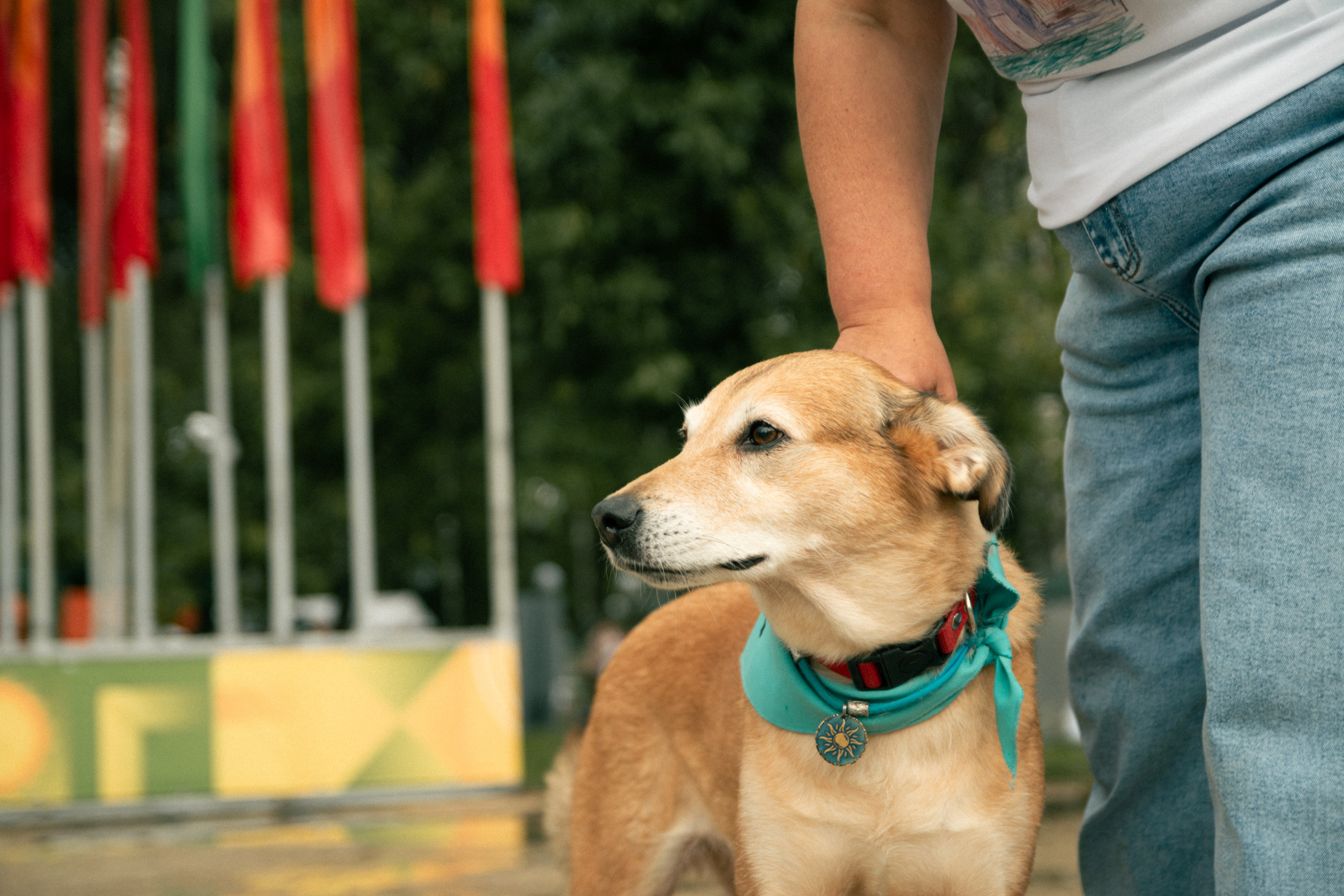 ЭкоФест 2024. Фотограф в Ярославле Никита Зайцев