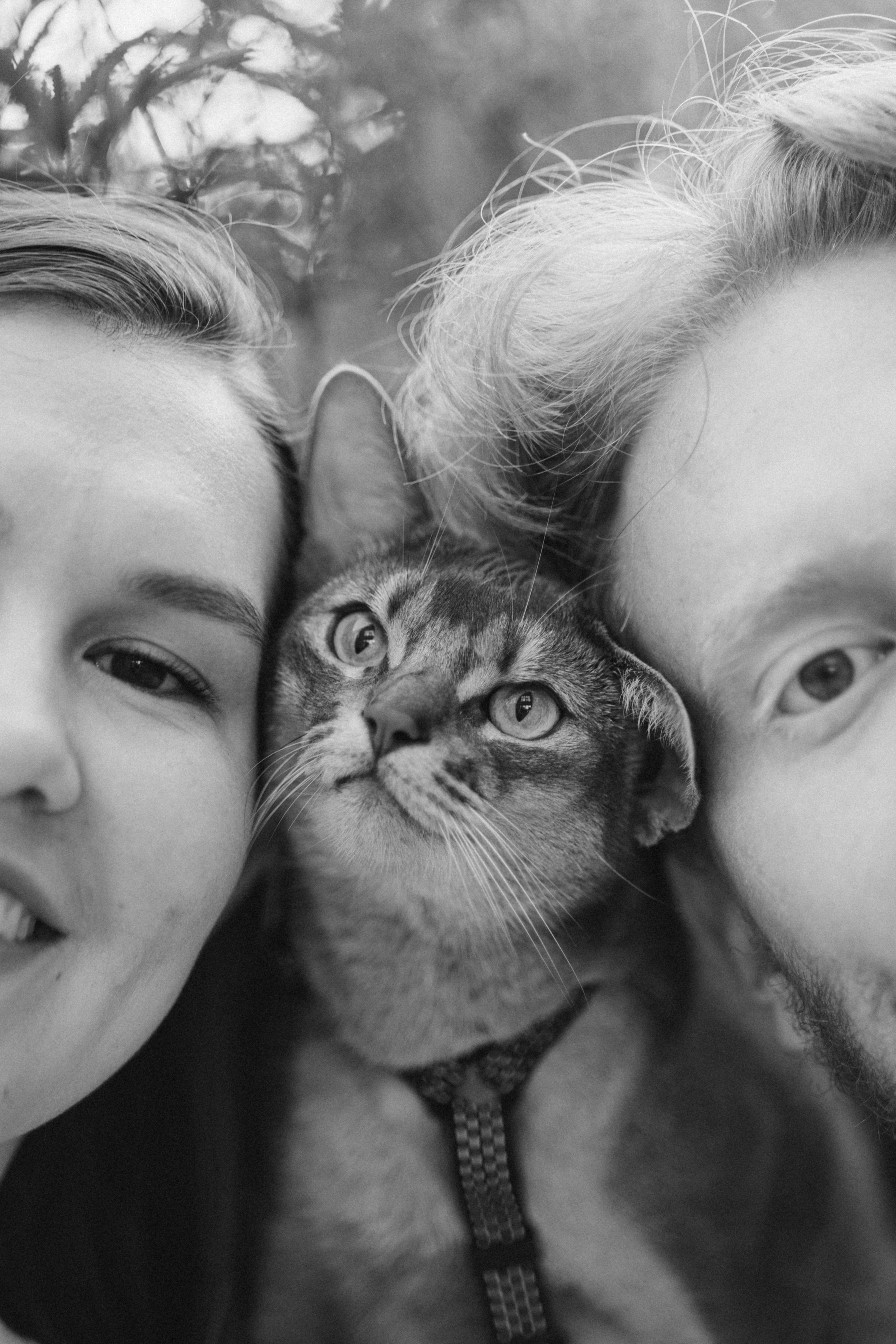 Циско и его семья. Фотограф — Анималист | Санкт-Петербург