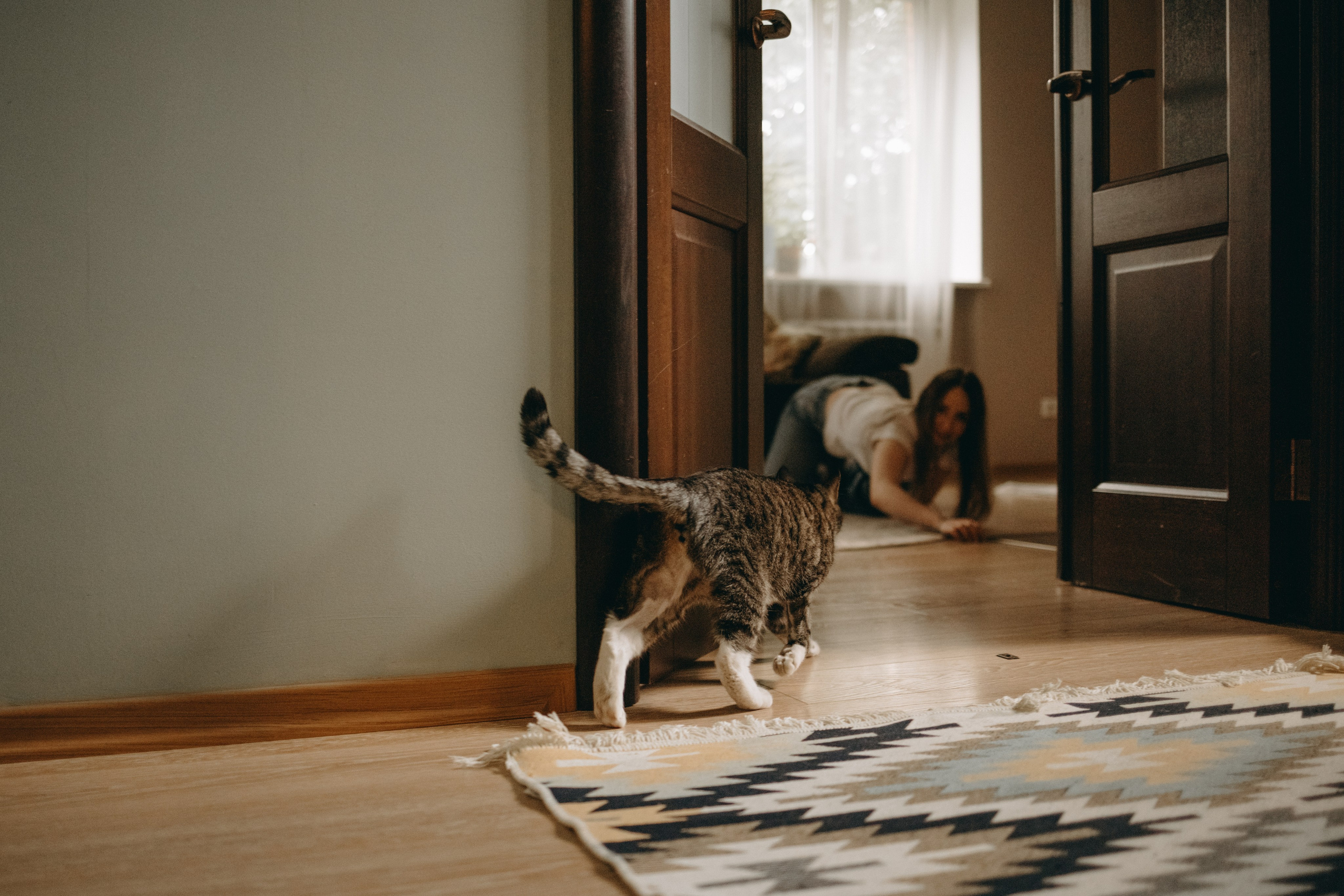 Софа и ее хвостики. Фотограф — Анималист | Санкт-Петербург