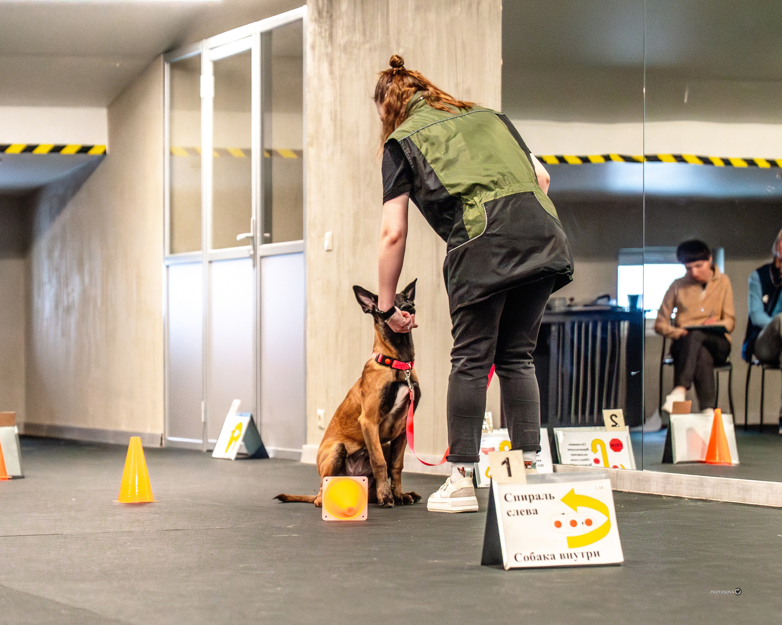ТЫ И Я (соревнования по ралли-обидиенс). Фотограф-анималист, семейный фотограф в Москве и Подмосковье. Фотосъёмка кинологических дисциплин