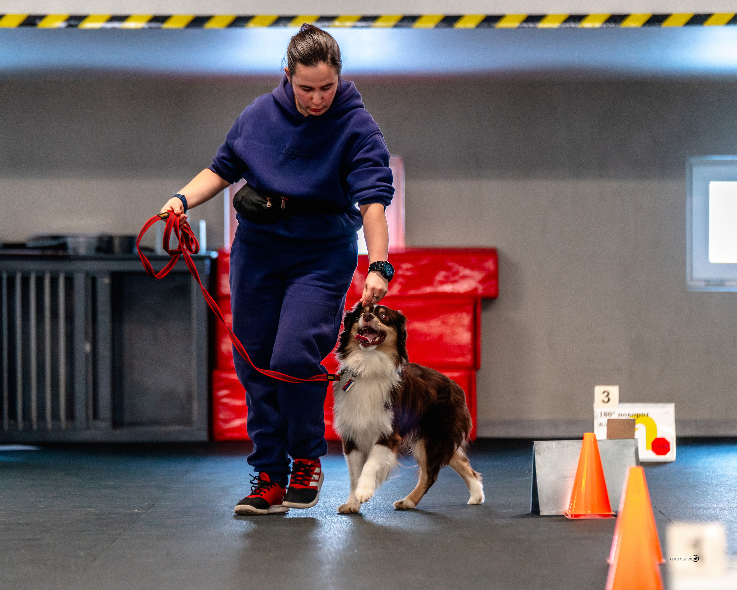 ТЫ И Я (соревнования по ралли-обидиенс). Фотограф-анималист, семейный фотограф в Москве и Подмосковье. Фотосъёмка кинологических дисциплин