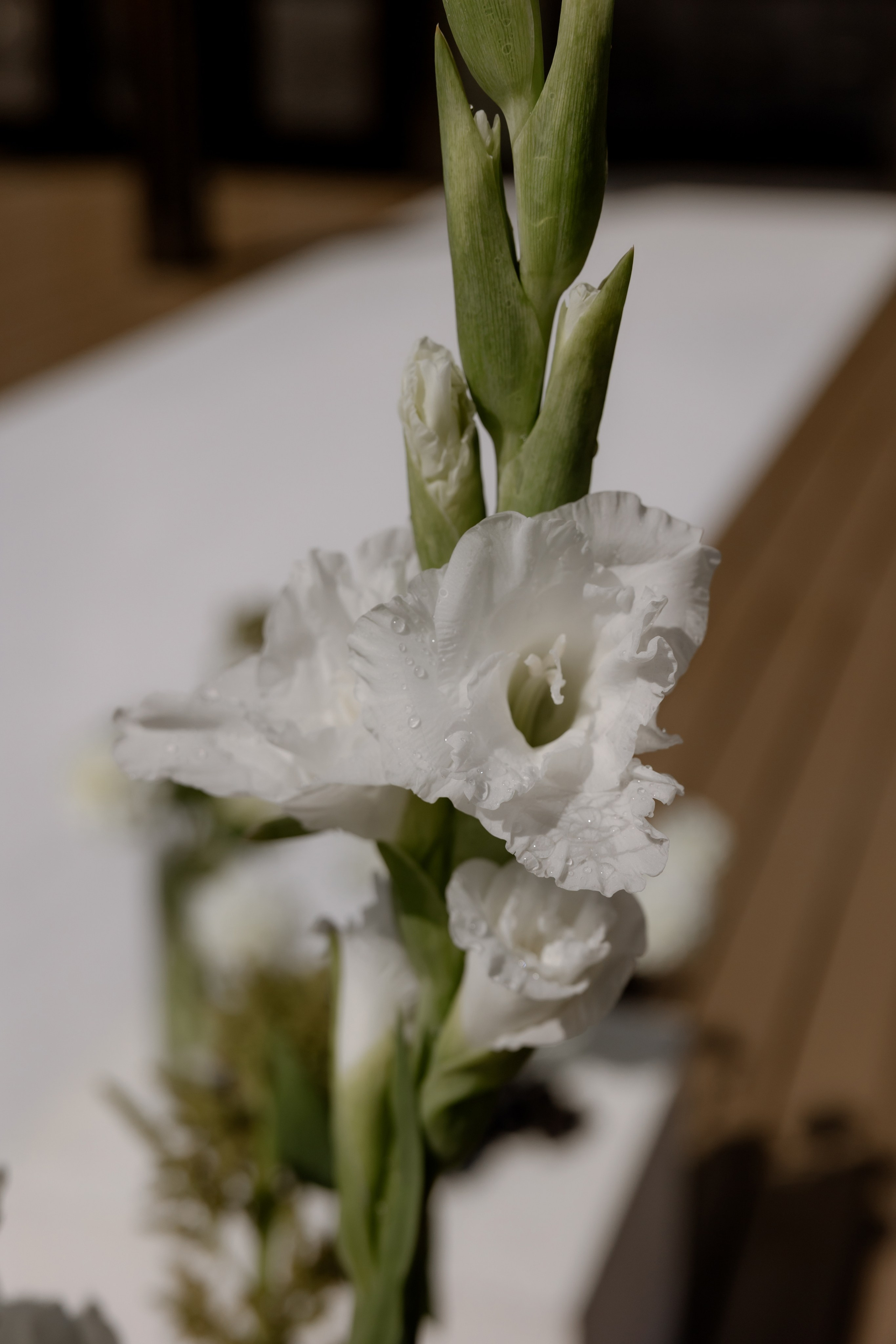 Алина & Андрей. Оформление свадеб, декор свадеб Вера Маркова, Москва