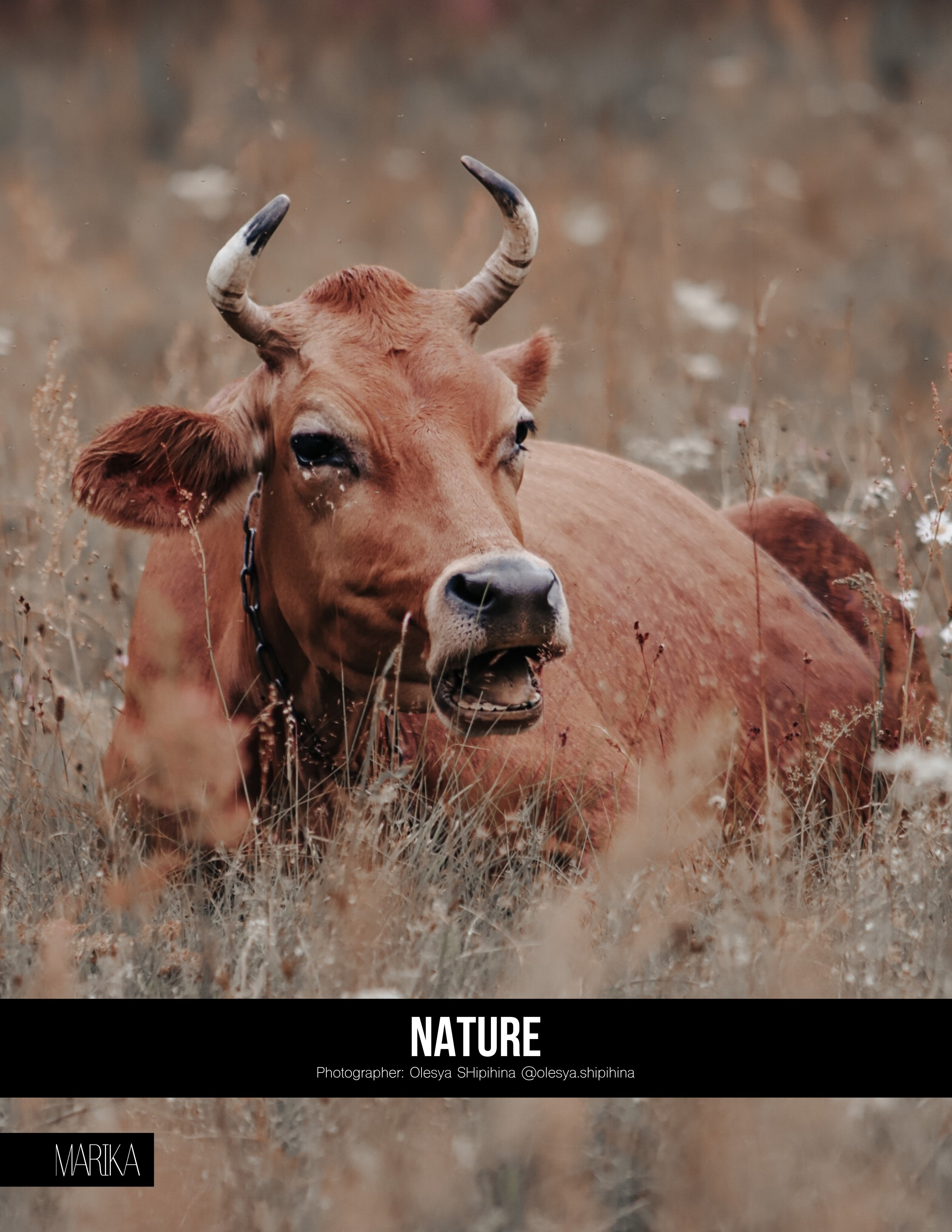Фотограф Олеся Шипихина г. Москва