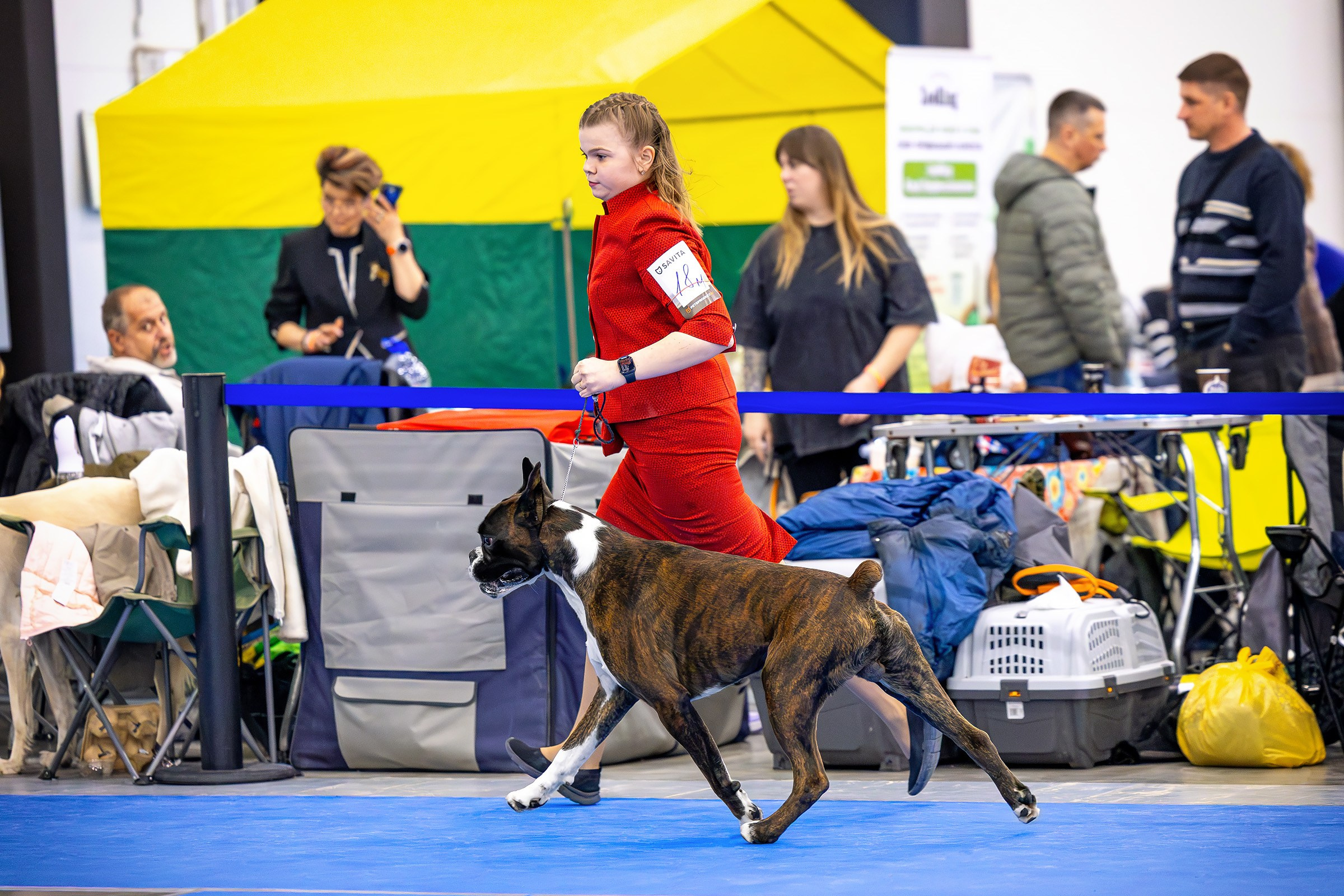 26–27 апреля 2025, Выставка РКФ, г. Санкт-Петербург. Htykk_photo