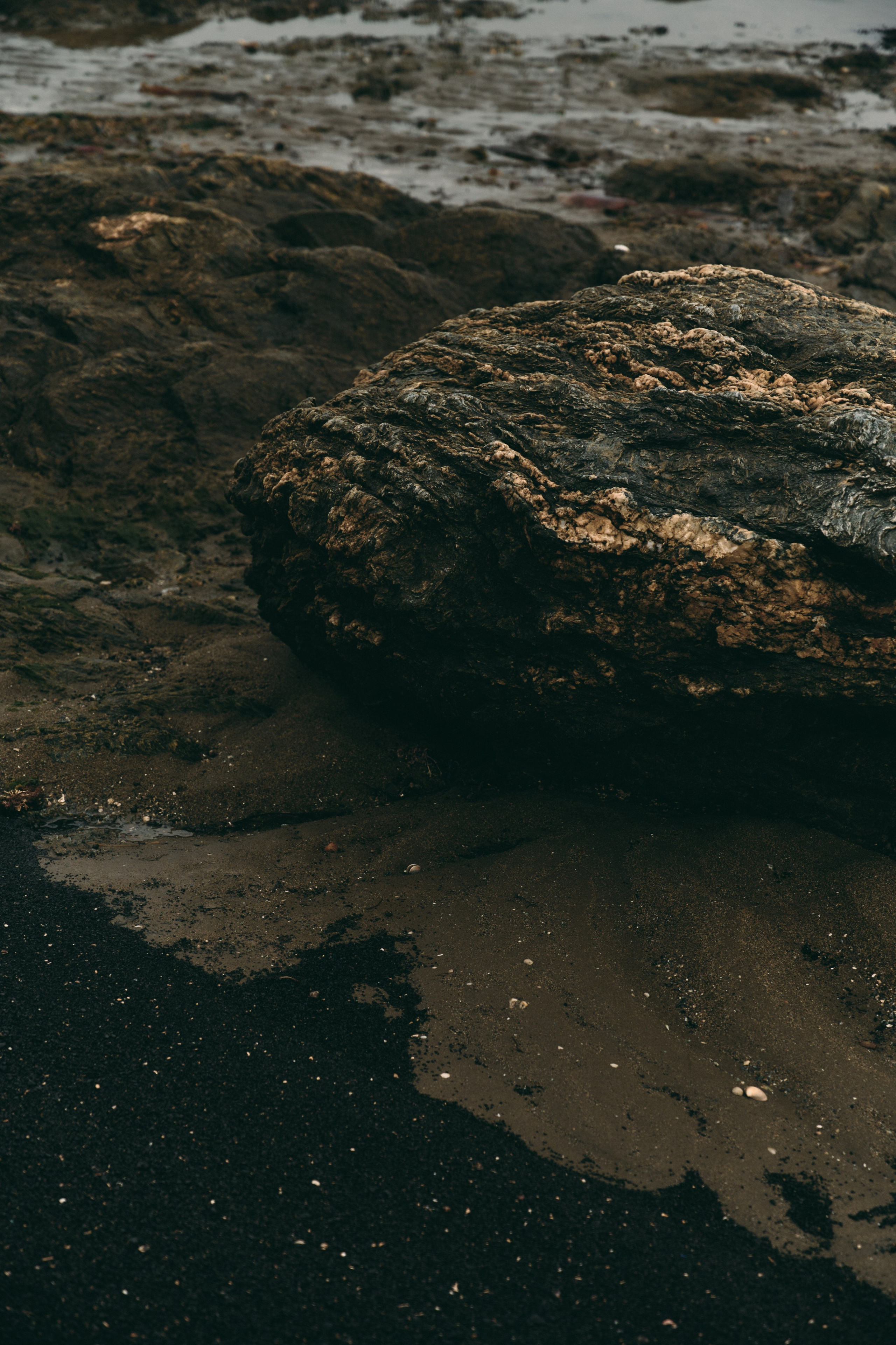 BAON x SAKHALIN. Фотограф Сурков Никита