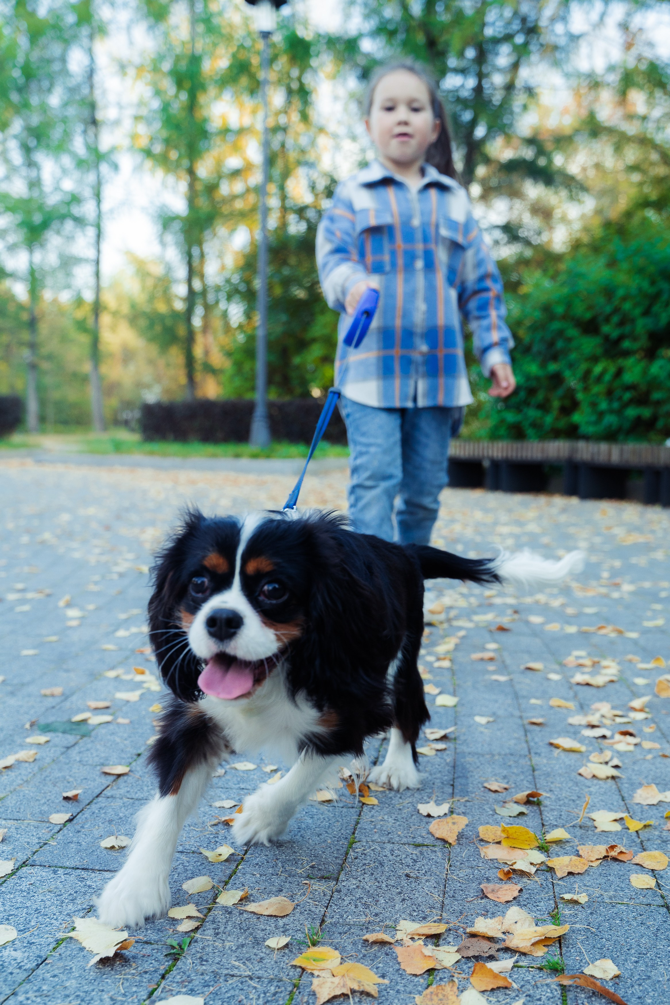 Семейная съемка. Фотограф Ольга Шупель
