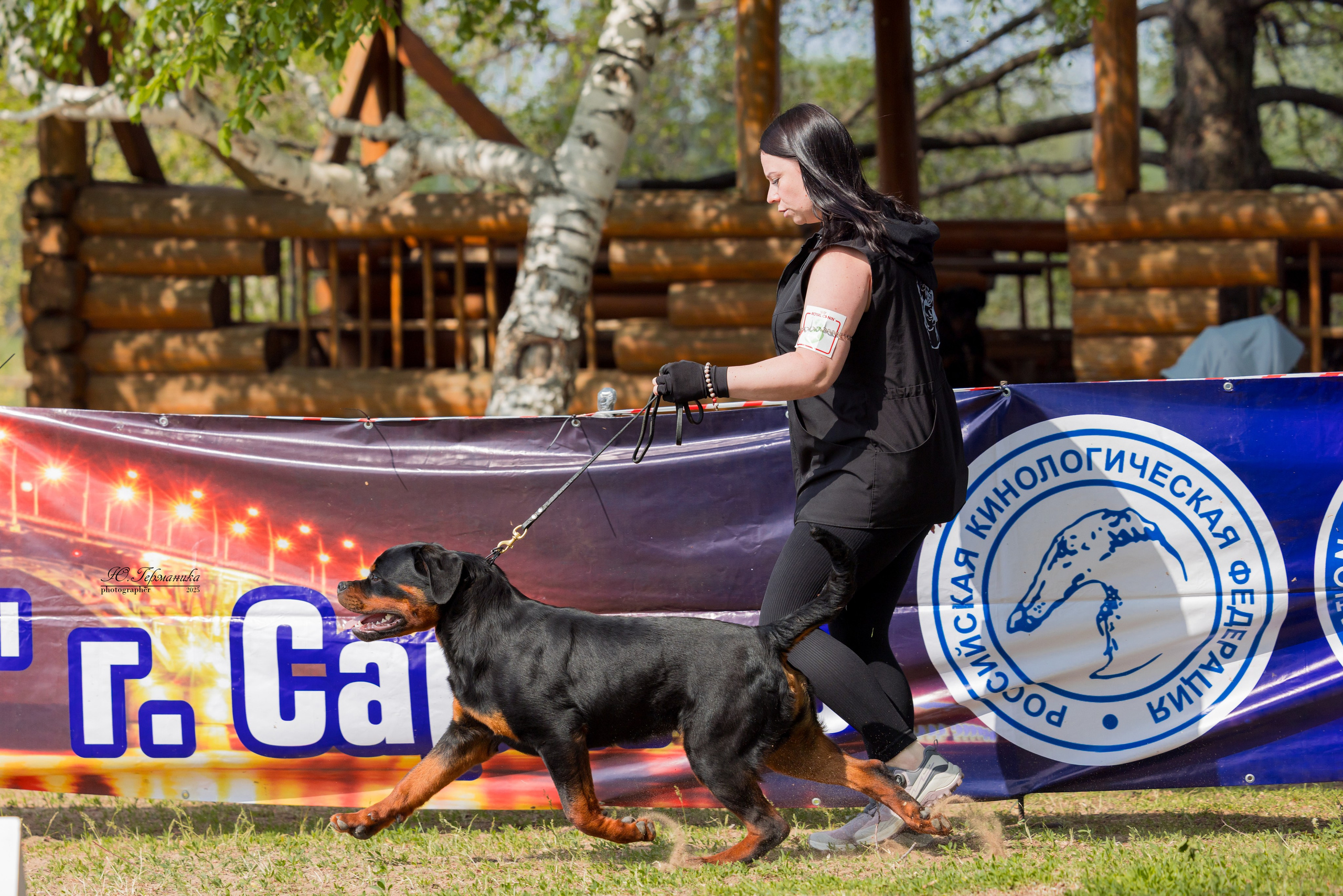 Саратов моно ротвейлеров 26-27.04.2025. Фотограф-анималист Юлия Германика