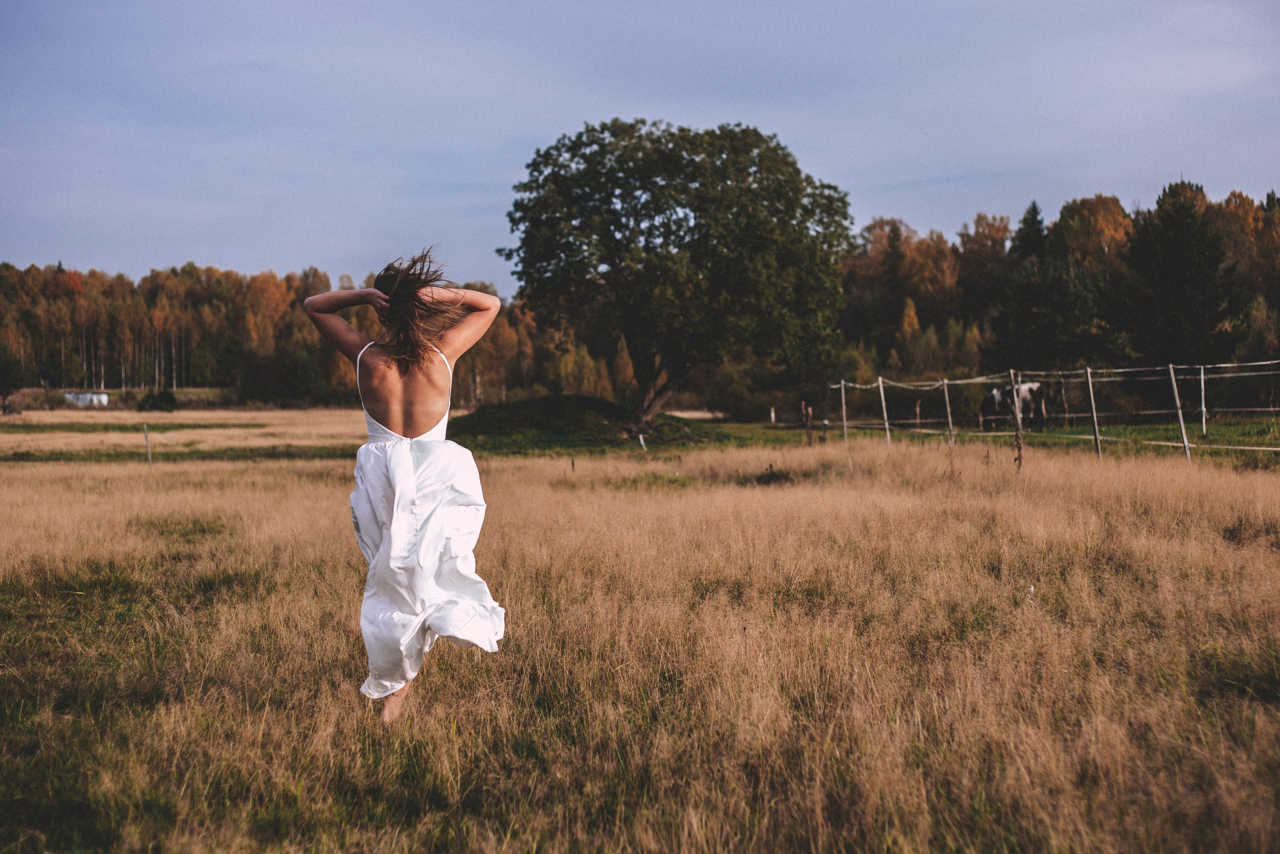 Фотосессия с лошадьми. Анна Михайлова|Свадебный фотограф в Санкт-Петербурге