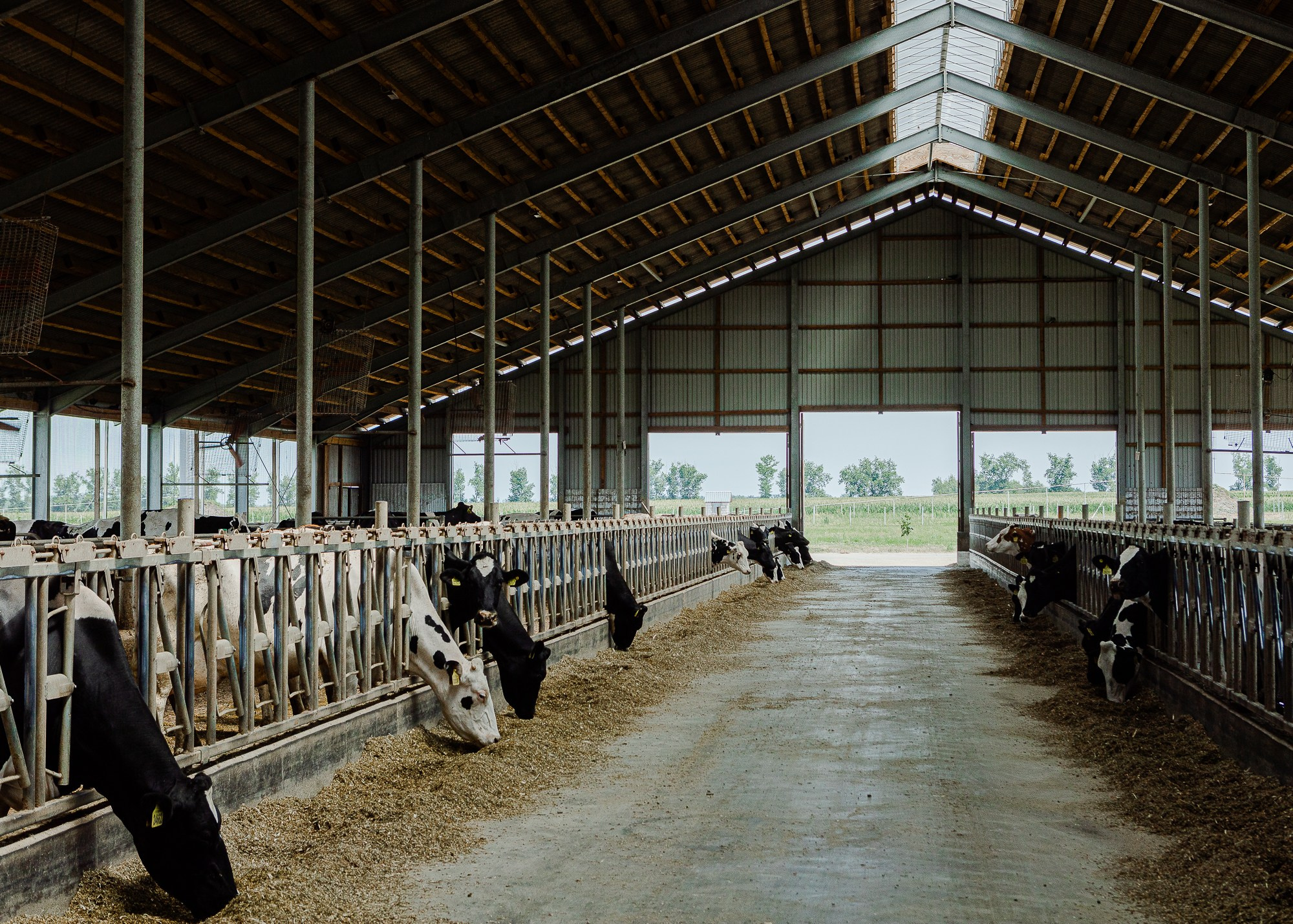 ЭкоНива — производитель молока № 1 в России