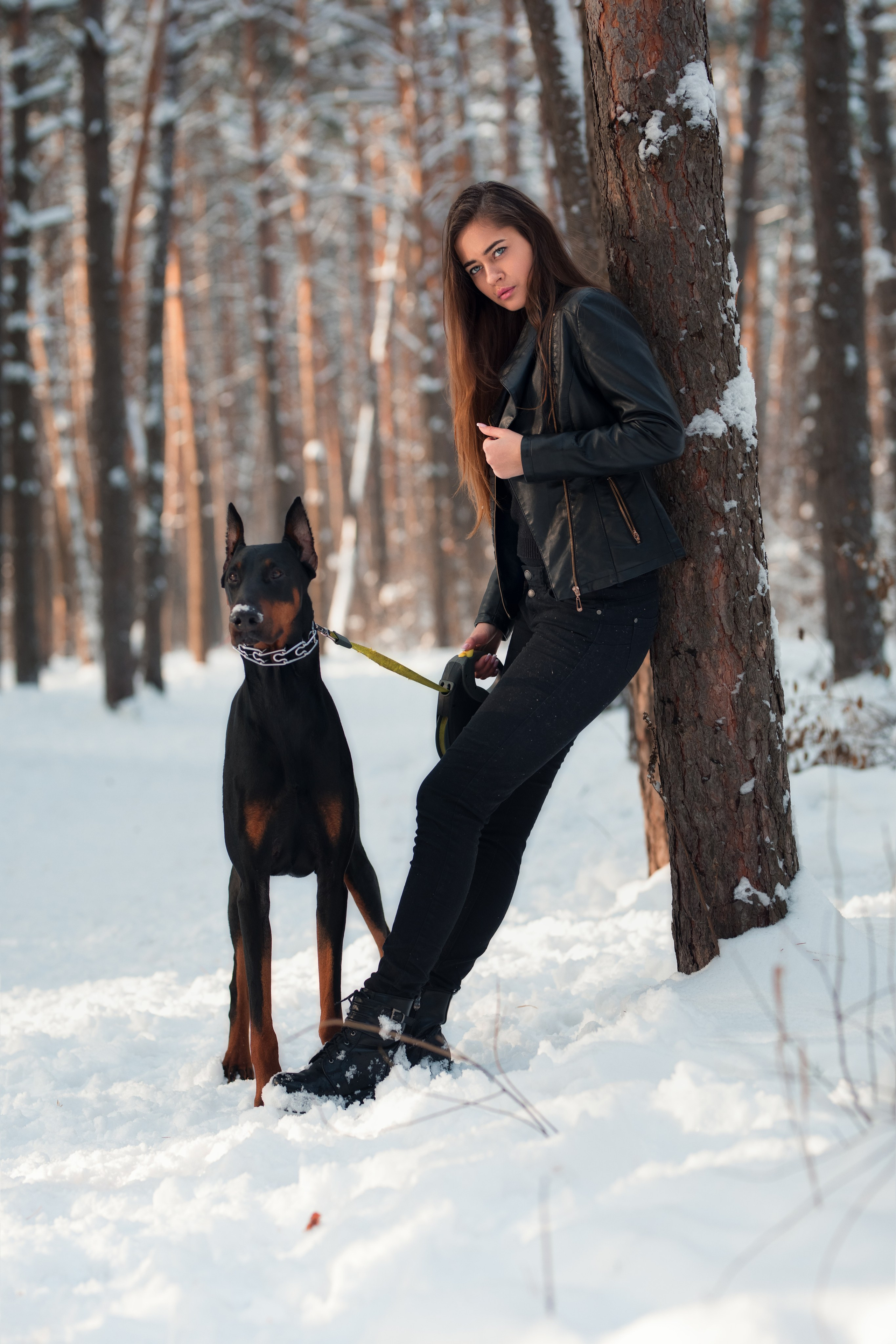 Зимняя съемка в лесу с доберманом с Ольгой в формате для «себя»