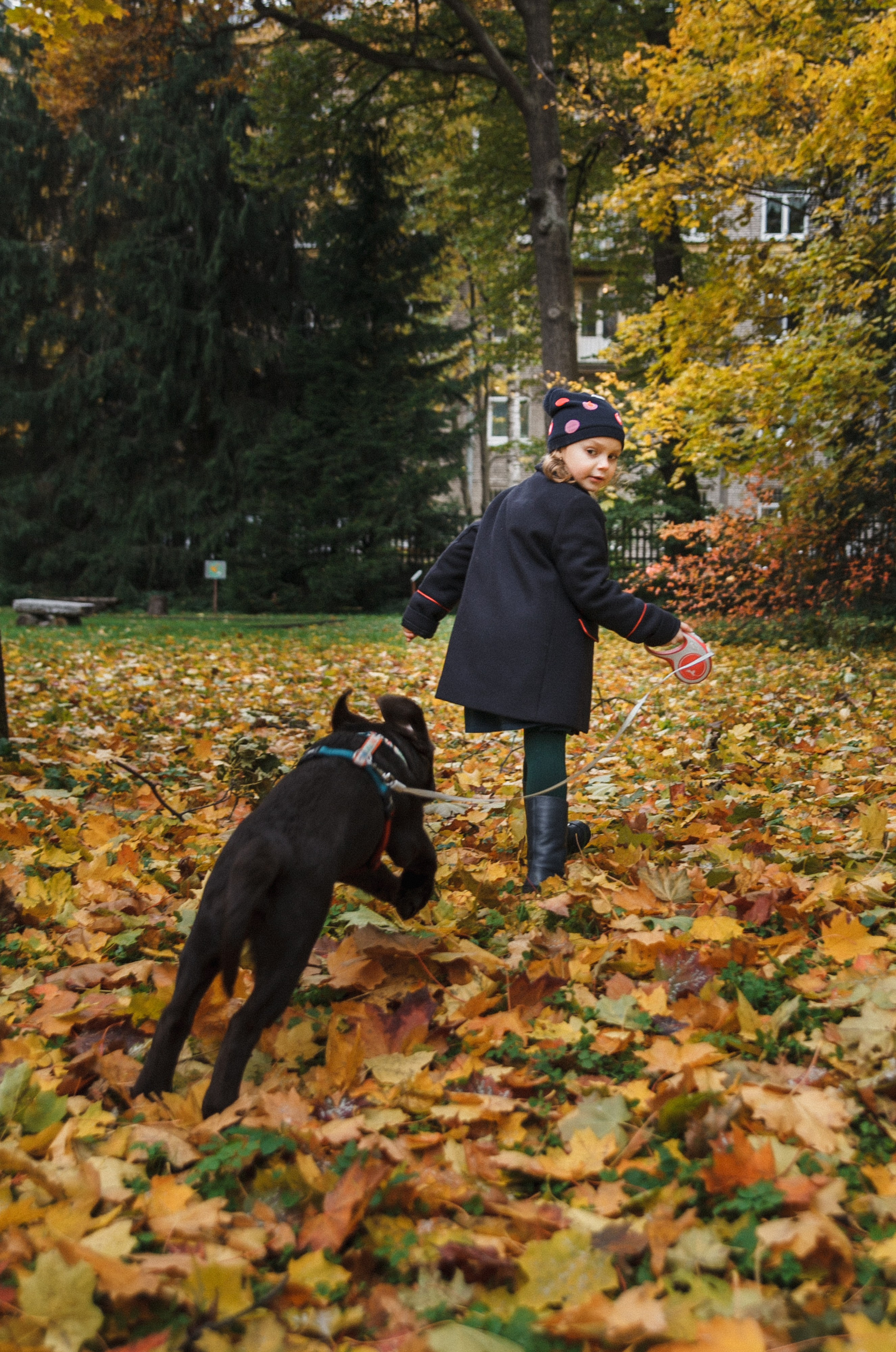 4 ноги, Терем, чай и 1 маленький хвост. Семейный фотограф, свадебный фотограф, женский портрет в Санкт-Петербу