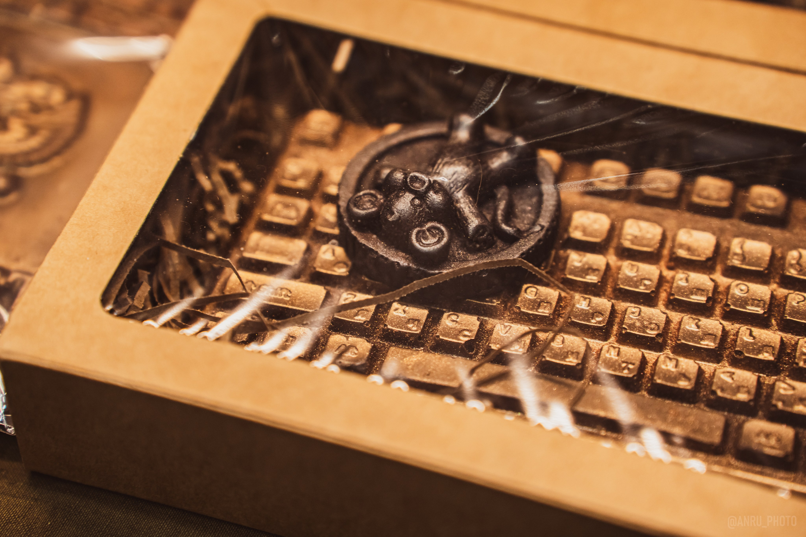 Fox Family fest. Репортажный фотограф Анастасия Рубцова