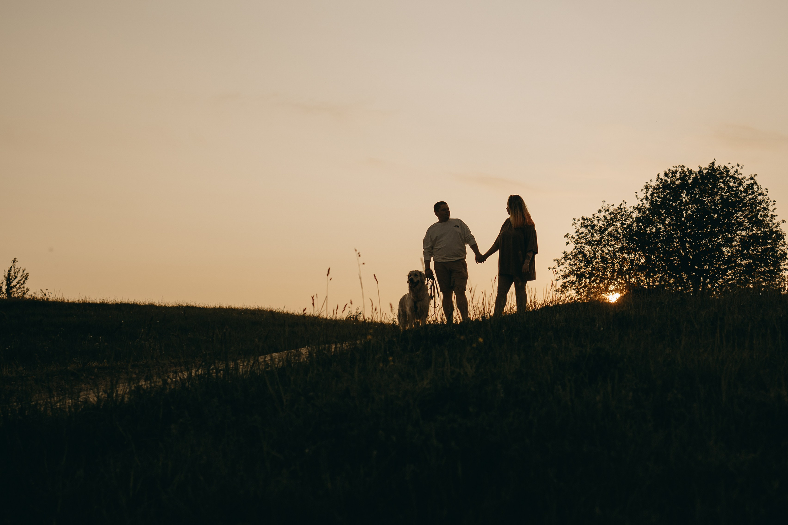 Милка и ребята. Фотограф — Анималист | Санкт-Петербург