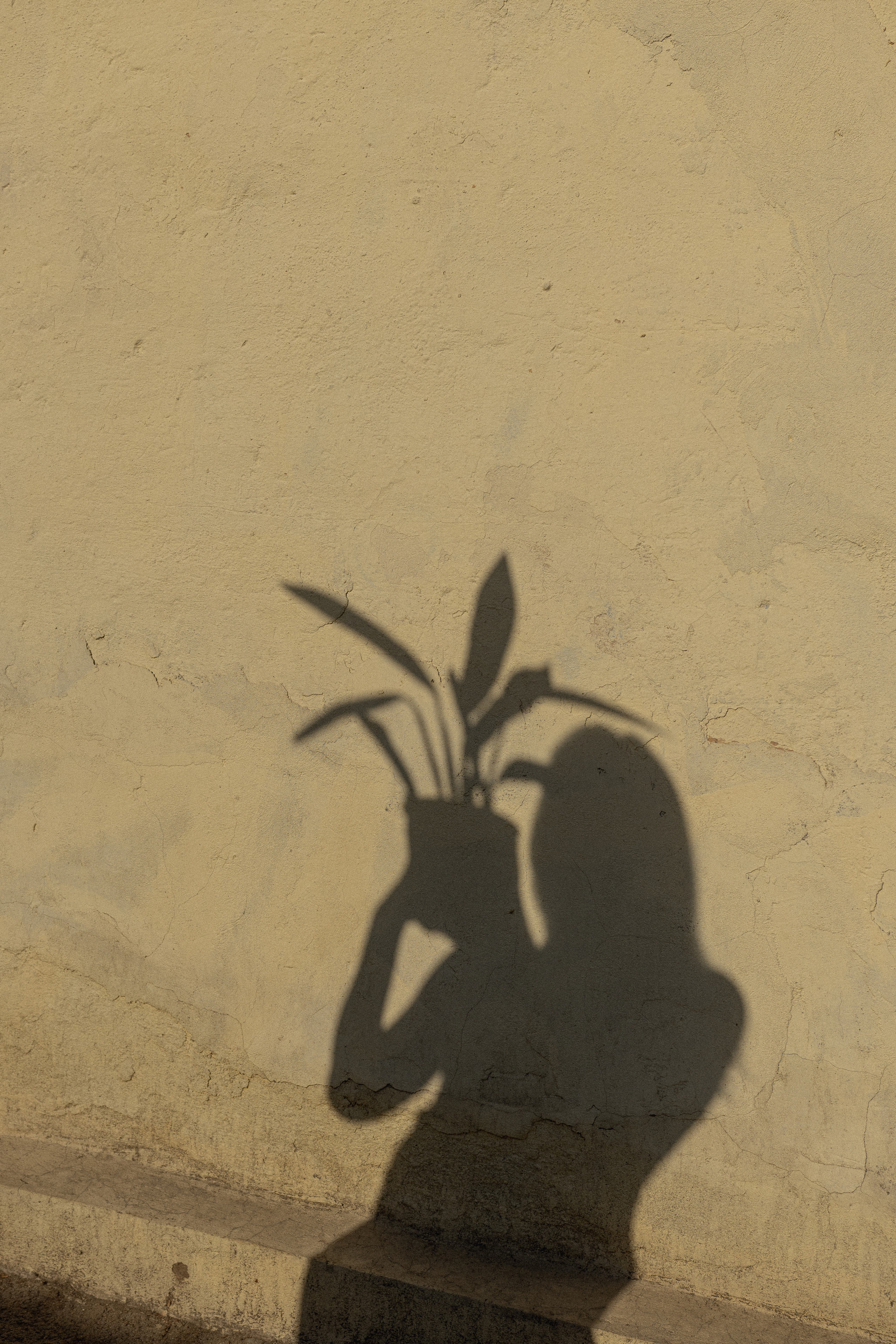 Фотосессия Ани с цветком. Фотографирую пары и индивидуальные съемки в Алматы Шунько Ирина