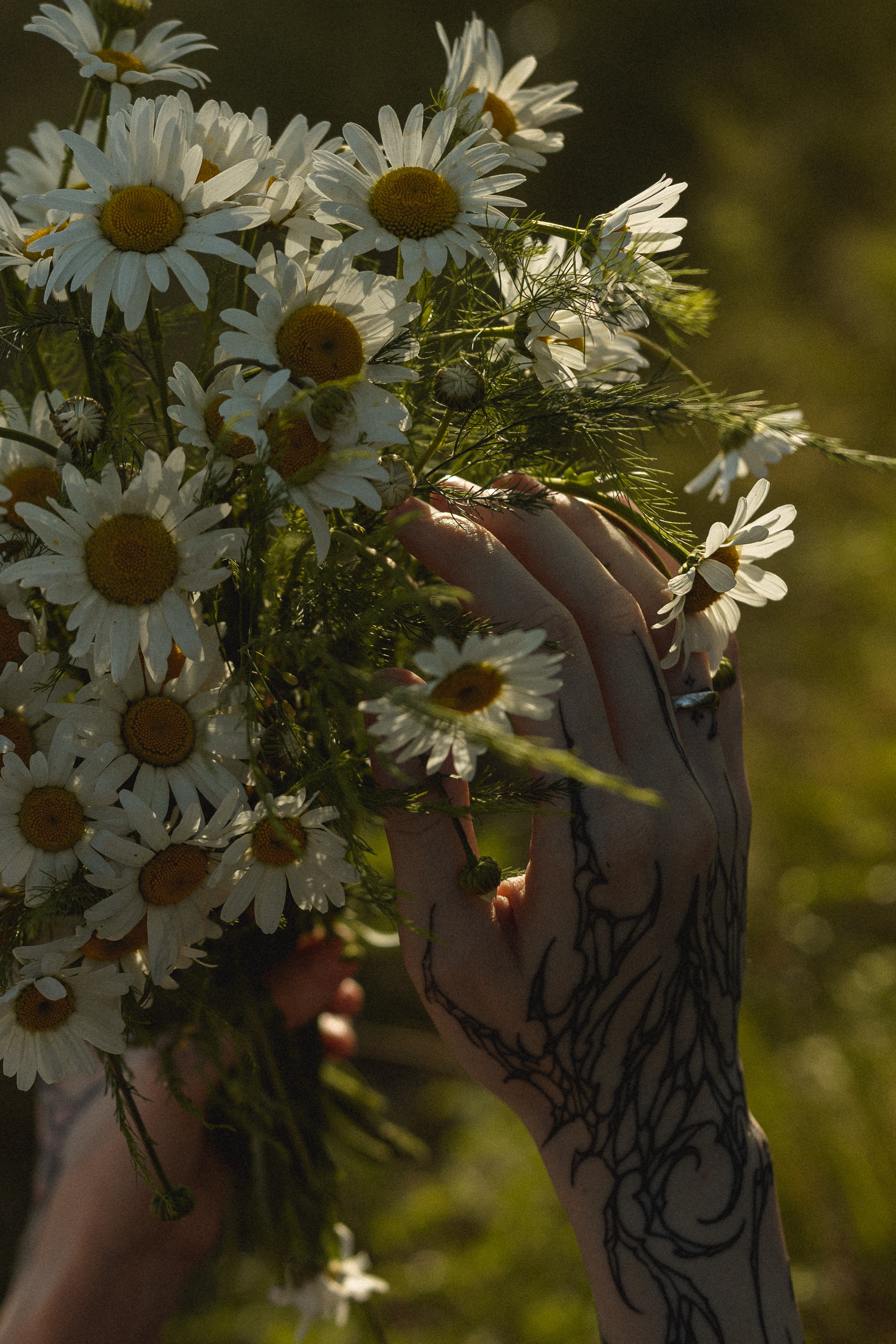 Катя — фотосессия в лесу. Фотографирую пары и индивидуальные съемки в Алматы Шунько Ирина