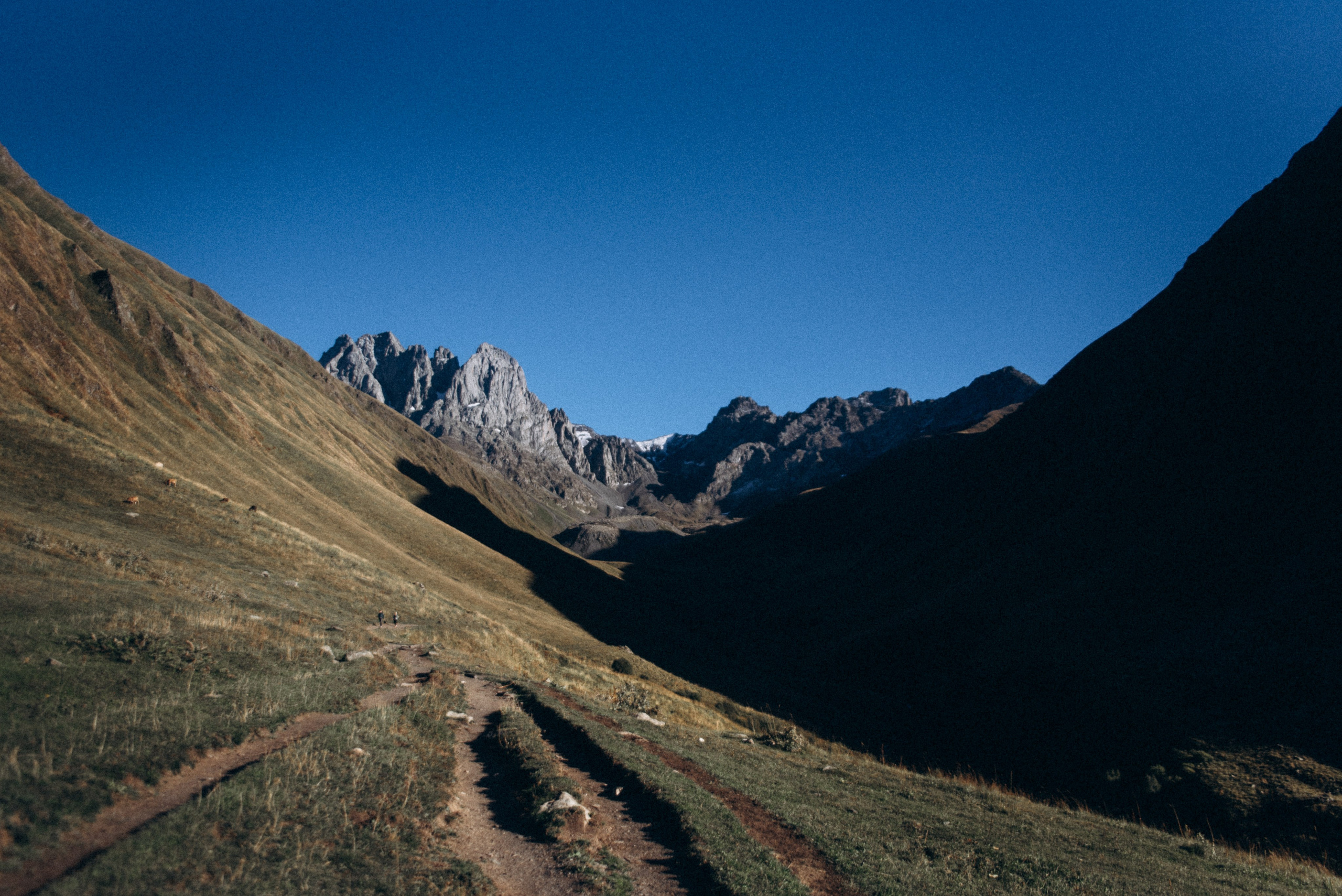 Джута, Грузия 🇬🇪 «Honey Trip». Anita_photo