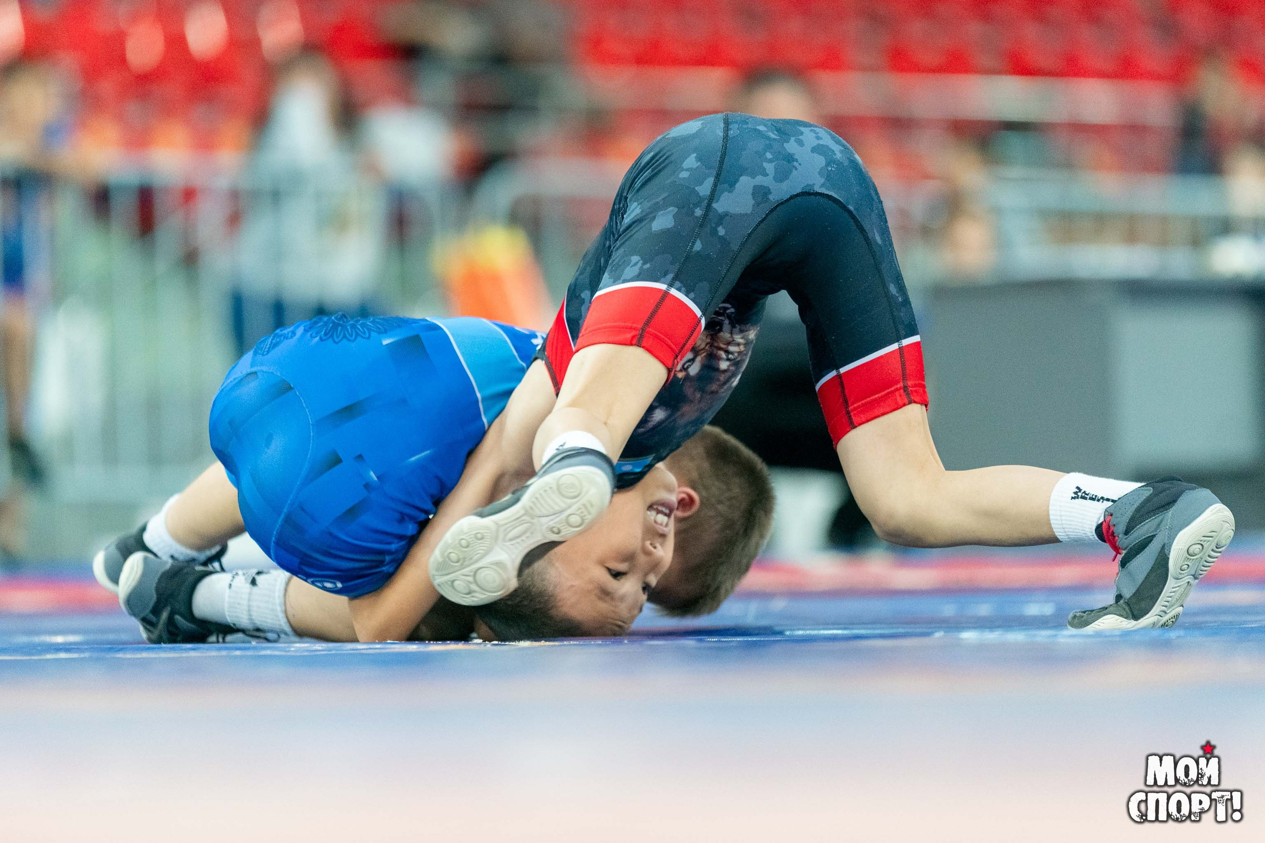 Международный, всероссийский и республиканский турниры по вольной борьбе среди юношей в честь П. П. Пинигина. Студия «Мой Спорт!» — все о спорте в Якутии