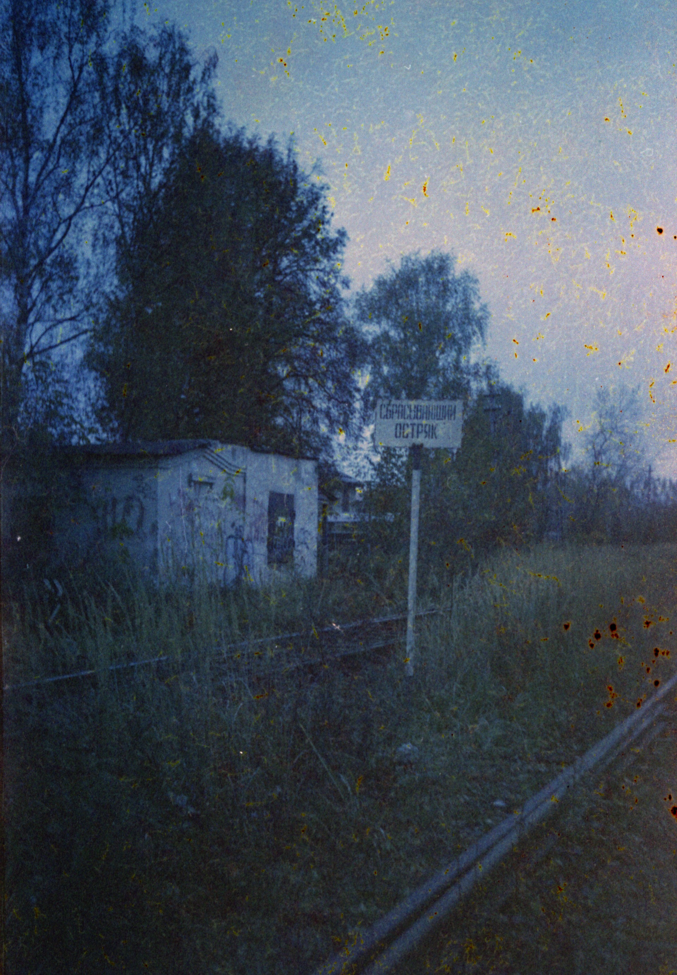 Сбрасывающий остряк. Татьяна Белякова — Фотохудожник | Концептуальная аналоговая фотография