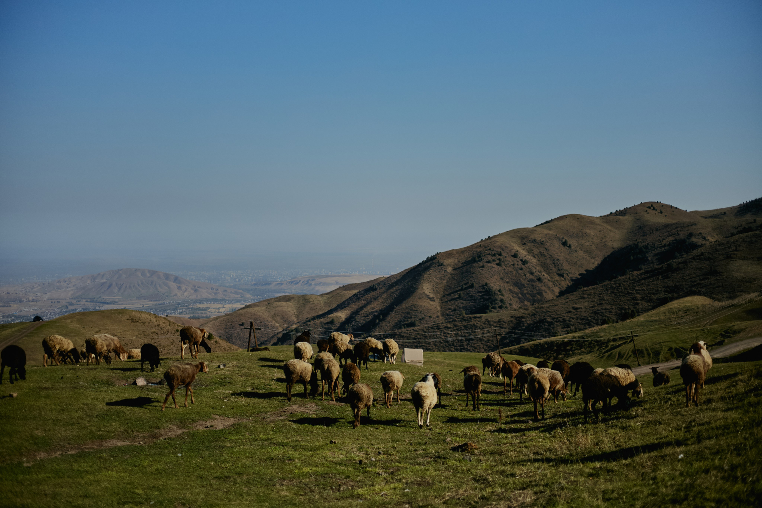 Кыргызтан. Профессиональный Фотограф во Владимире, в Москве и в Суздале — Полина Романычева