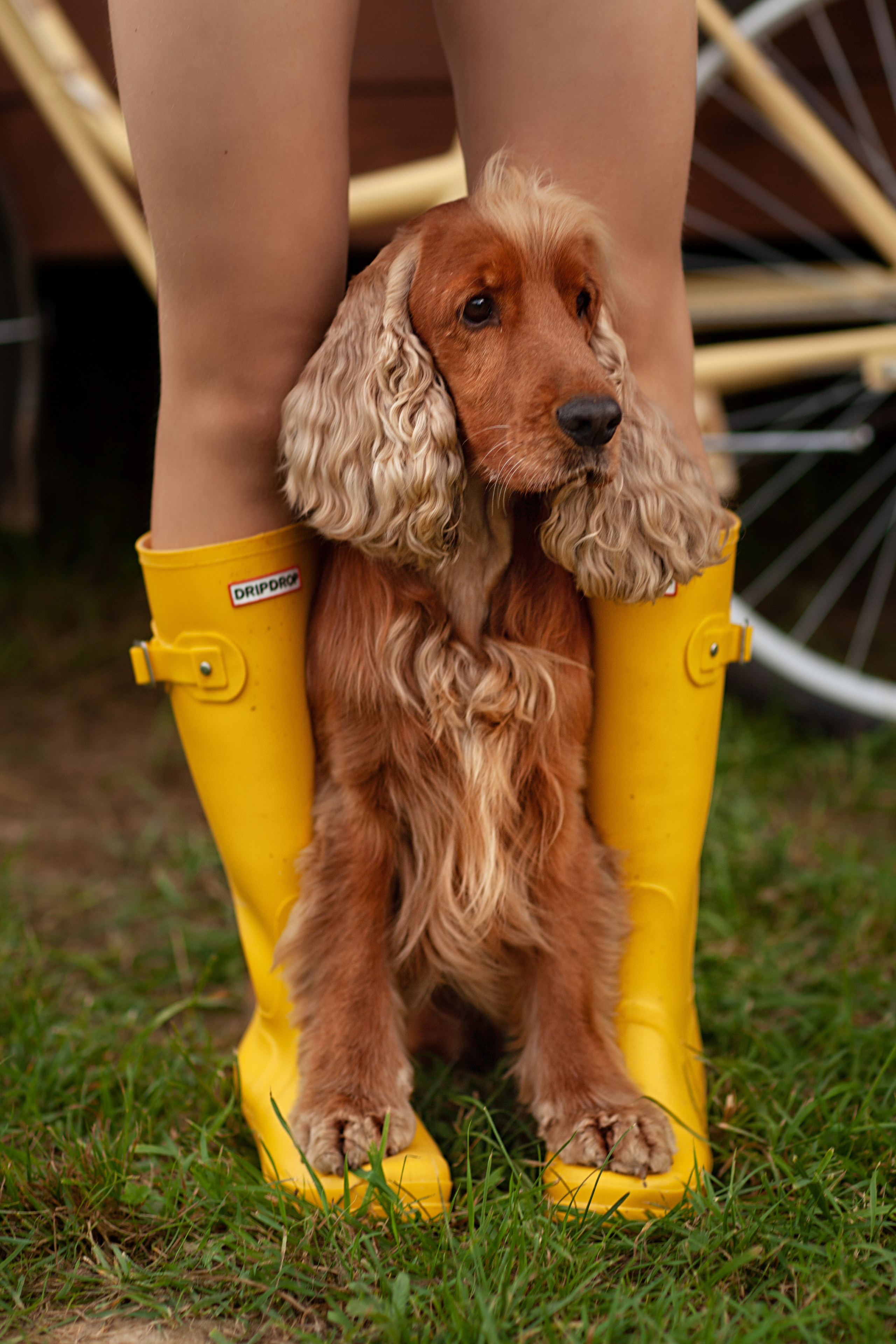 Фотограф в Москве Наталья Антипина