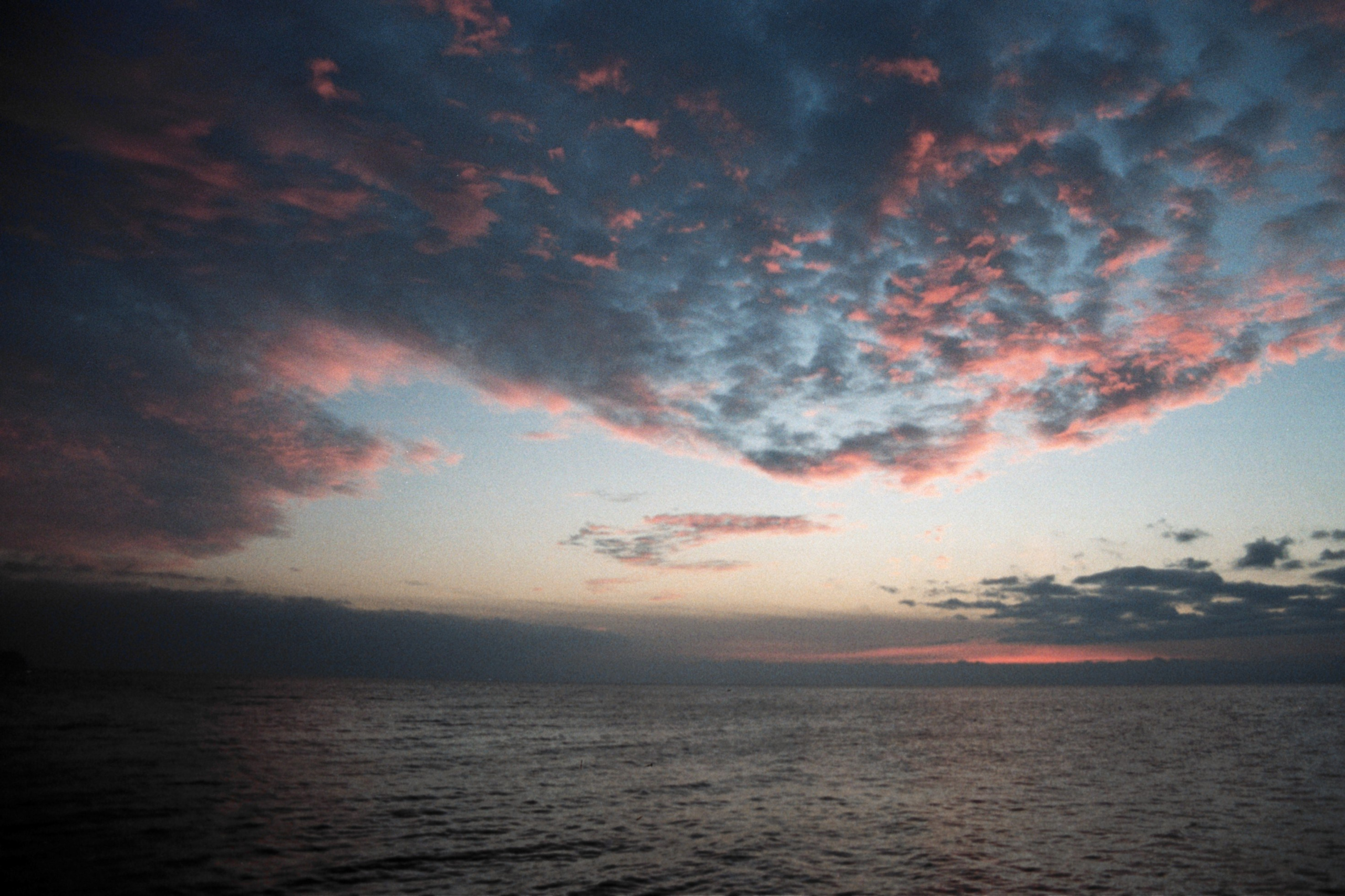 Nature. Артем Корнев Фотограф