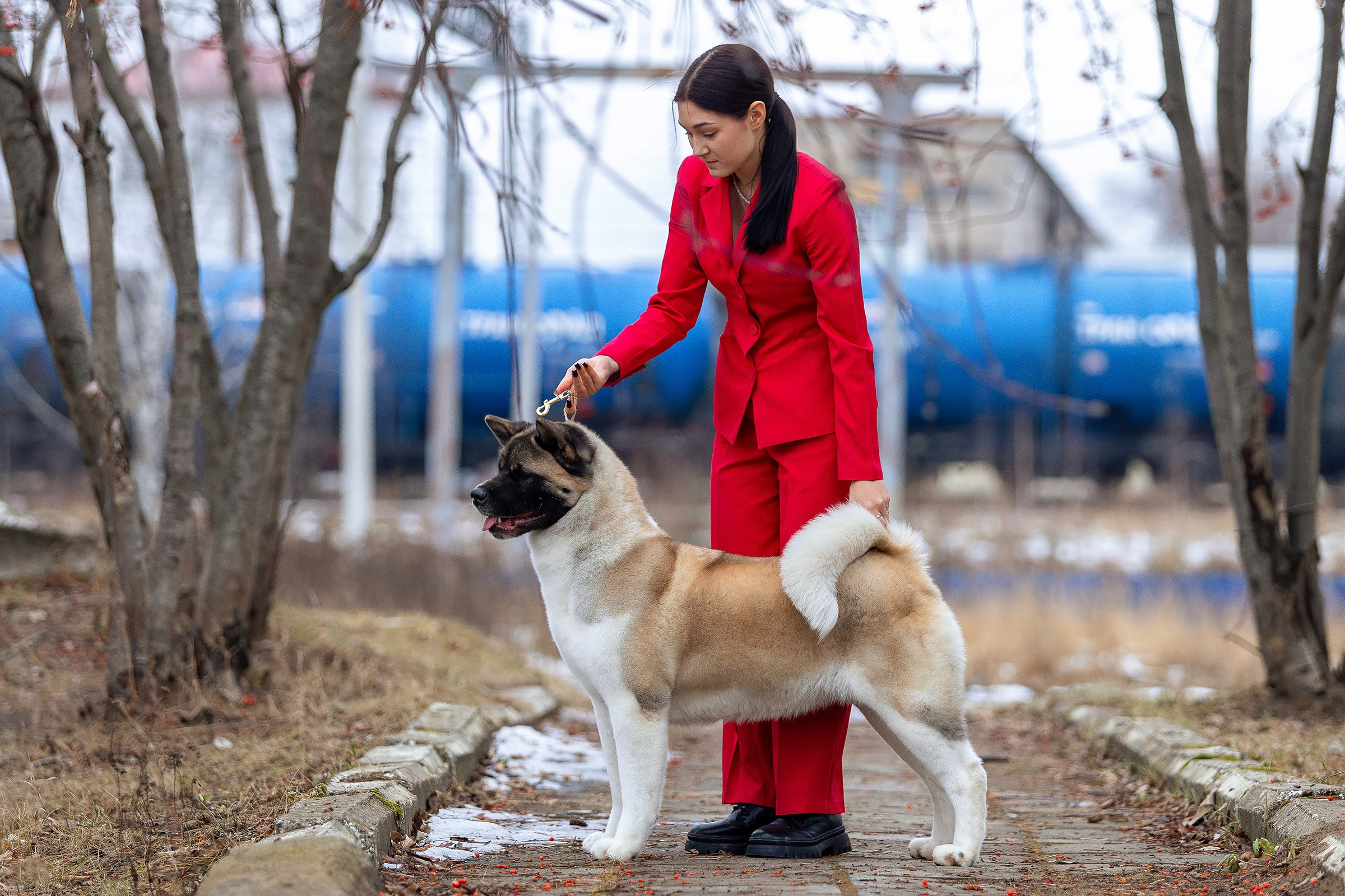 23 ноября 2024, Выставка РКФ, г. Пермь. Htykk_photo
