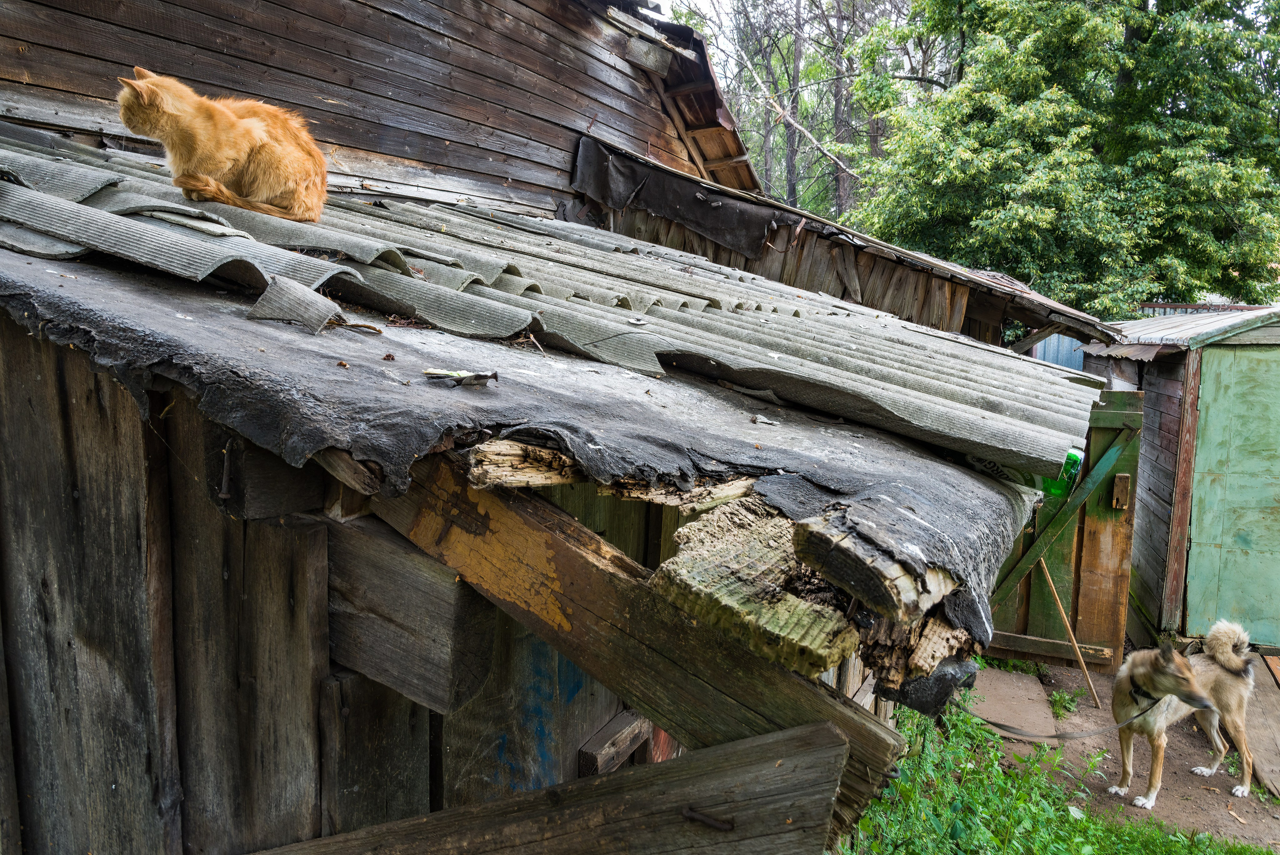 Углич — один из городов Золотого кольца России. Пейзажный фотограф Сергей Пестерев. Фото природы
