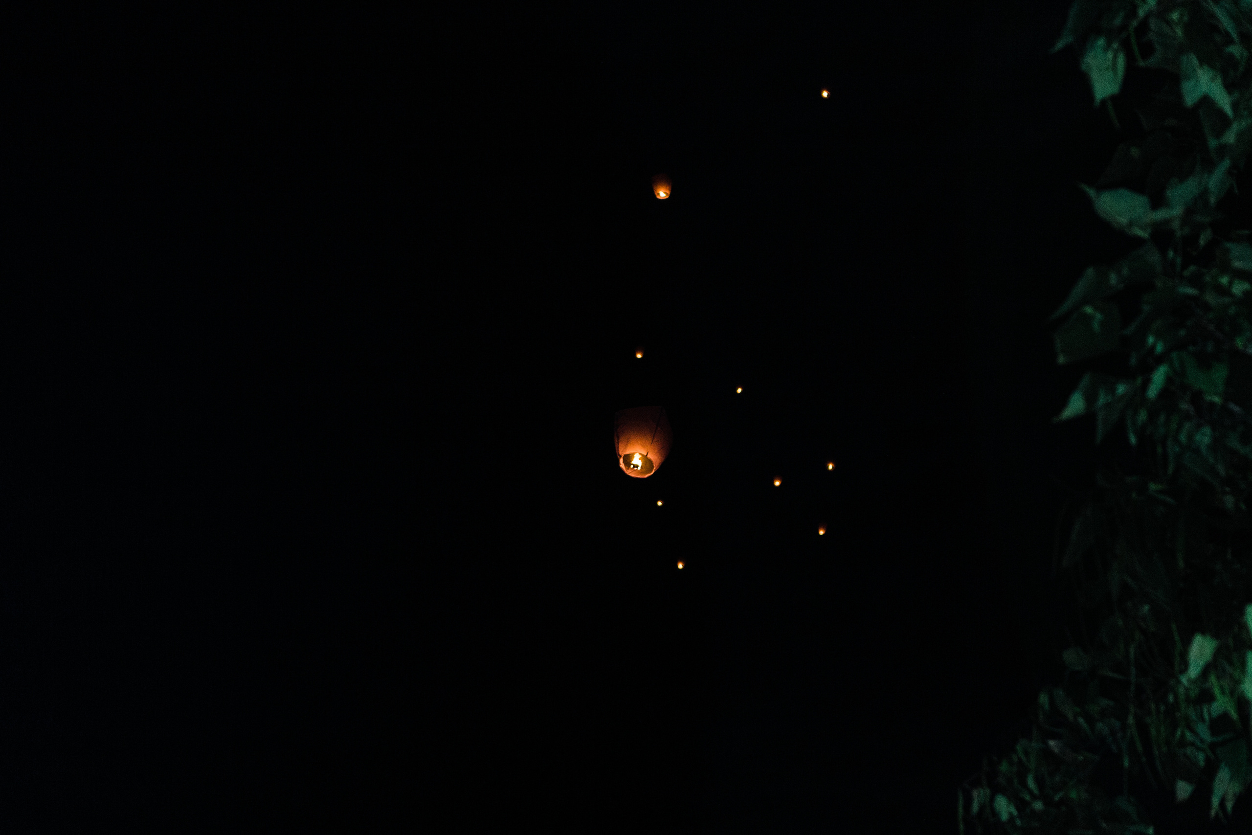 Олег и Диана. Сочи. Фотограф в Краснодаре Алла Потоцкая