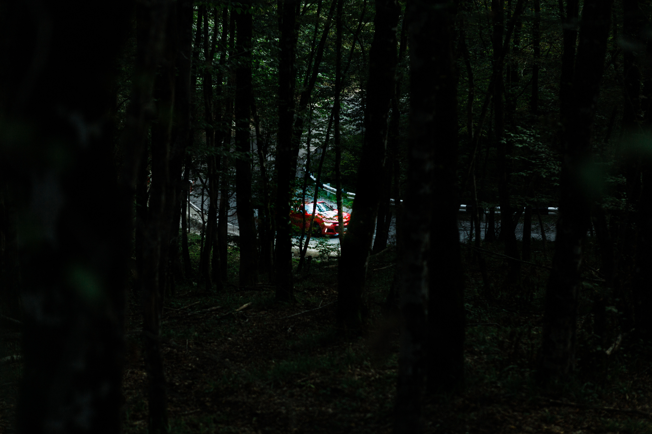 Олег и Диана. Сочи. Фотограф в Краснодаре Алла Потоцкая