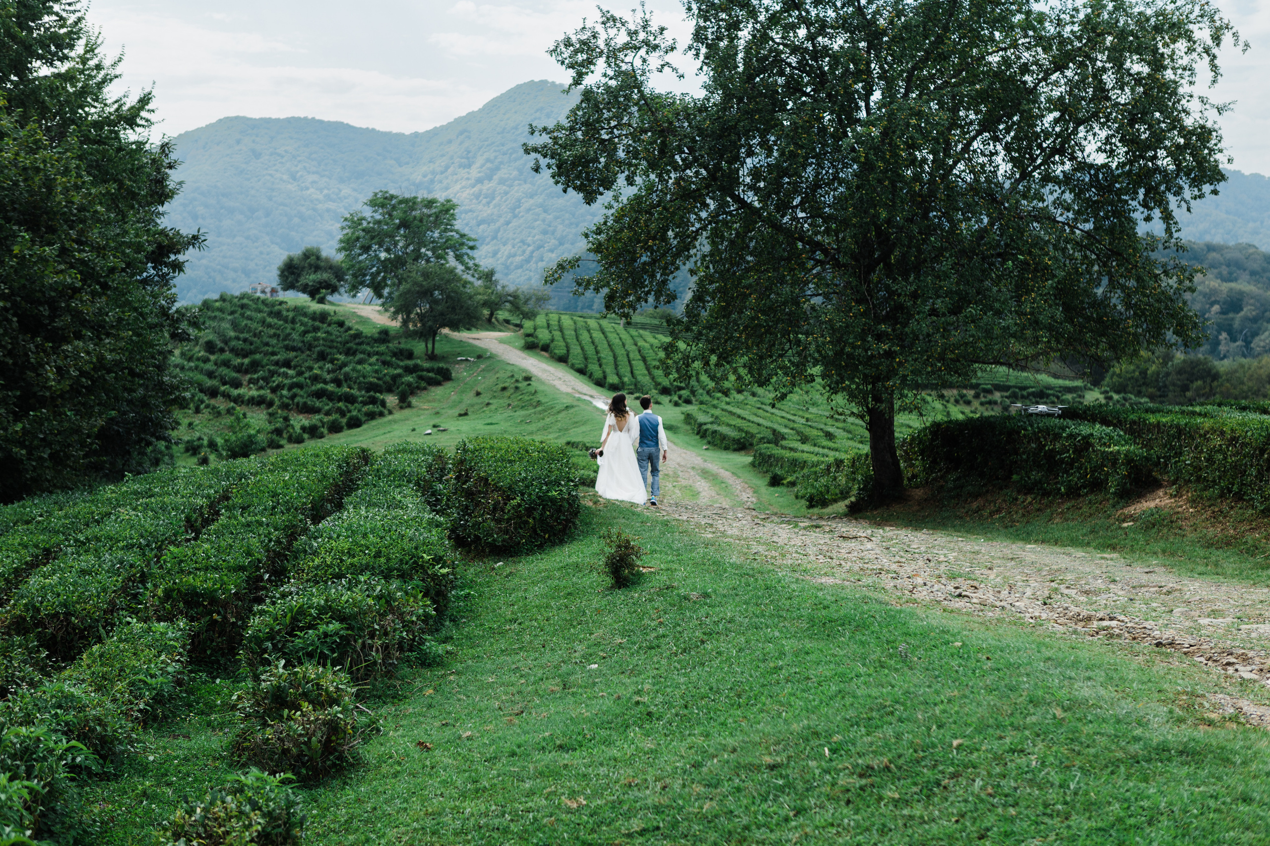 Олег и Диана. Сочи. Фотограф в Краснодаре Алла Потоцкая