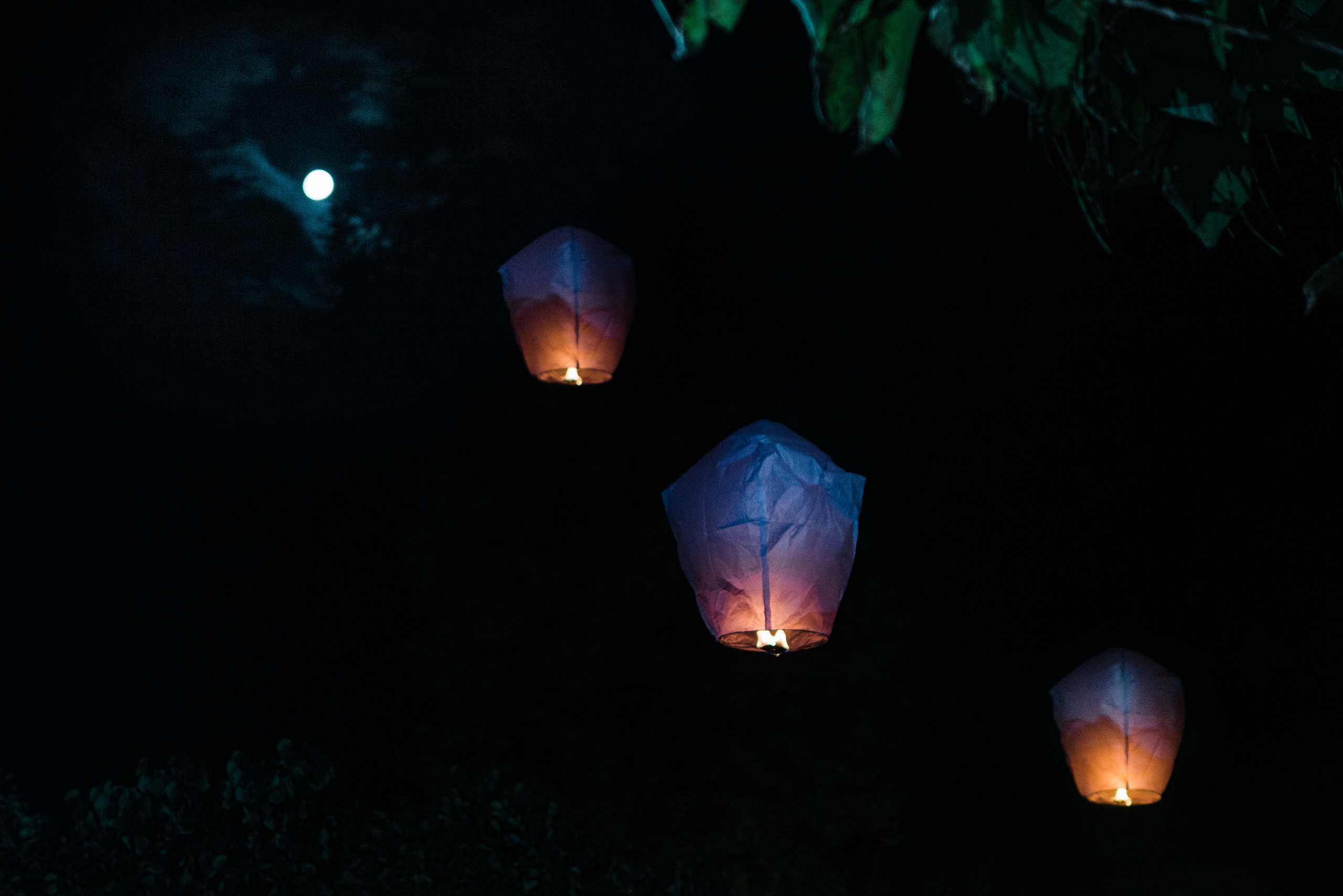 Олег и Диана. Сочи. Фотограф в Краснодаре Алла Потоцкая