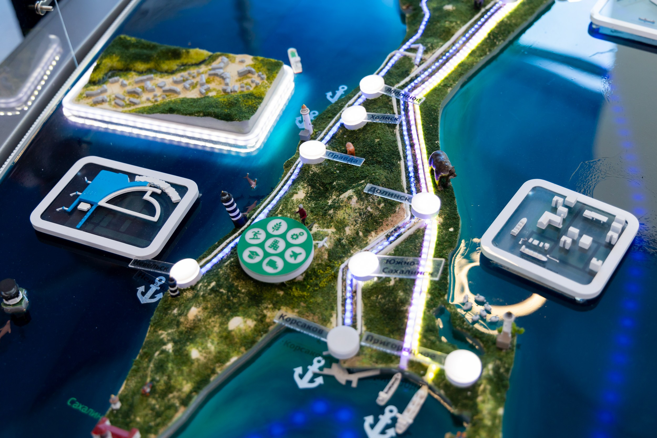 ВЭФ 2024. Репортажный и студийный фотограф во Владивостоке Дударева Софья