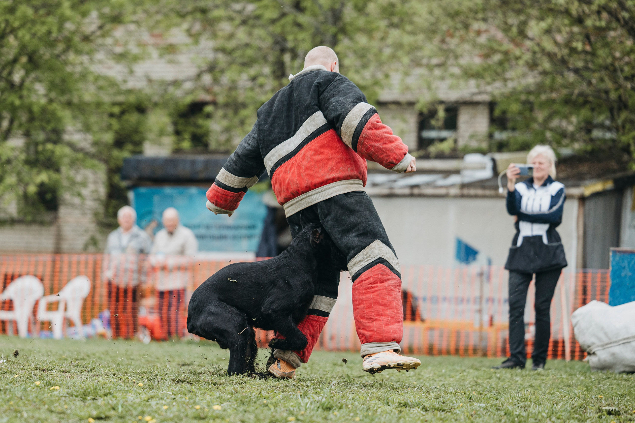 26.05.25 г. Пушкин квалификационные соревнования. Фотограф-анималист Анна Маринич