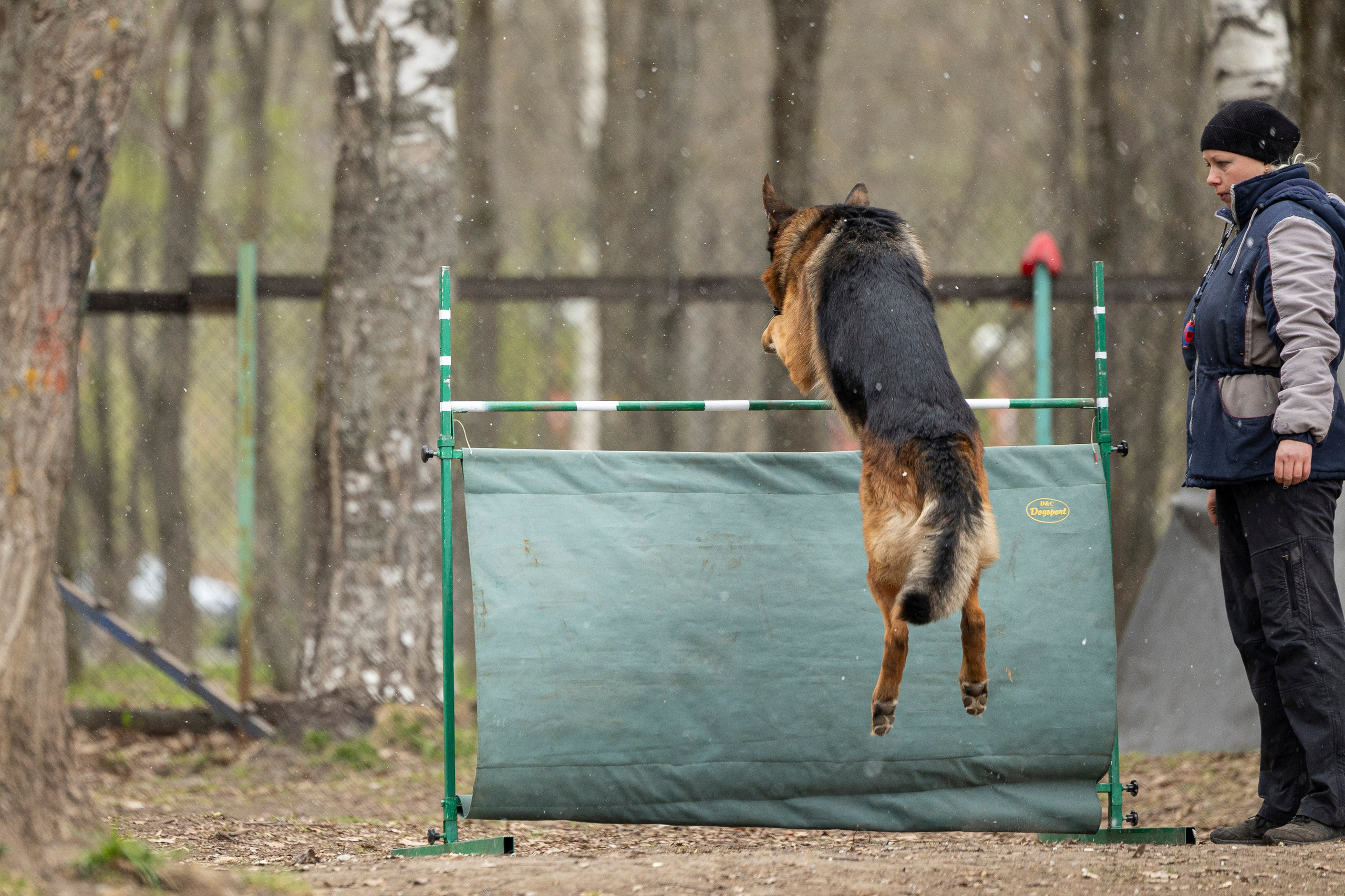 Квалификационные состязания по мондьорингу г. Вологда 11.05.24. Фотограф-анималист Анна Маринич