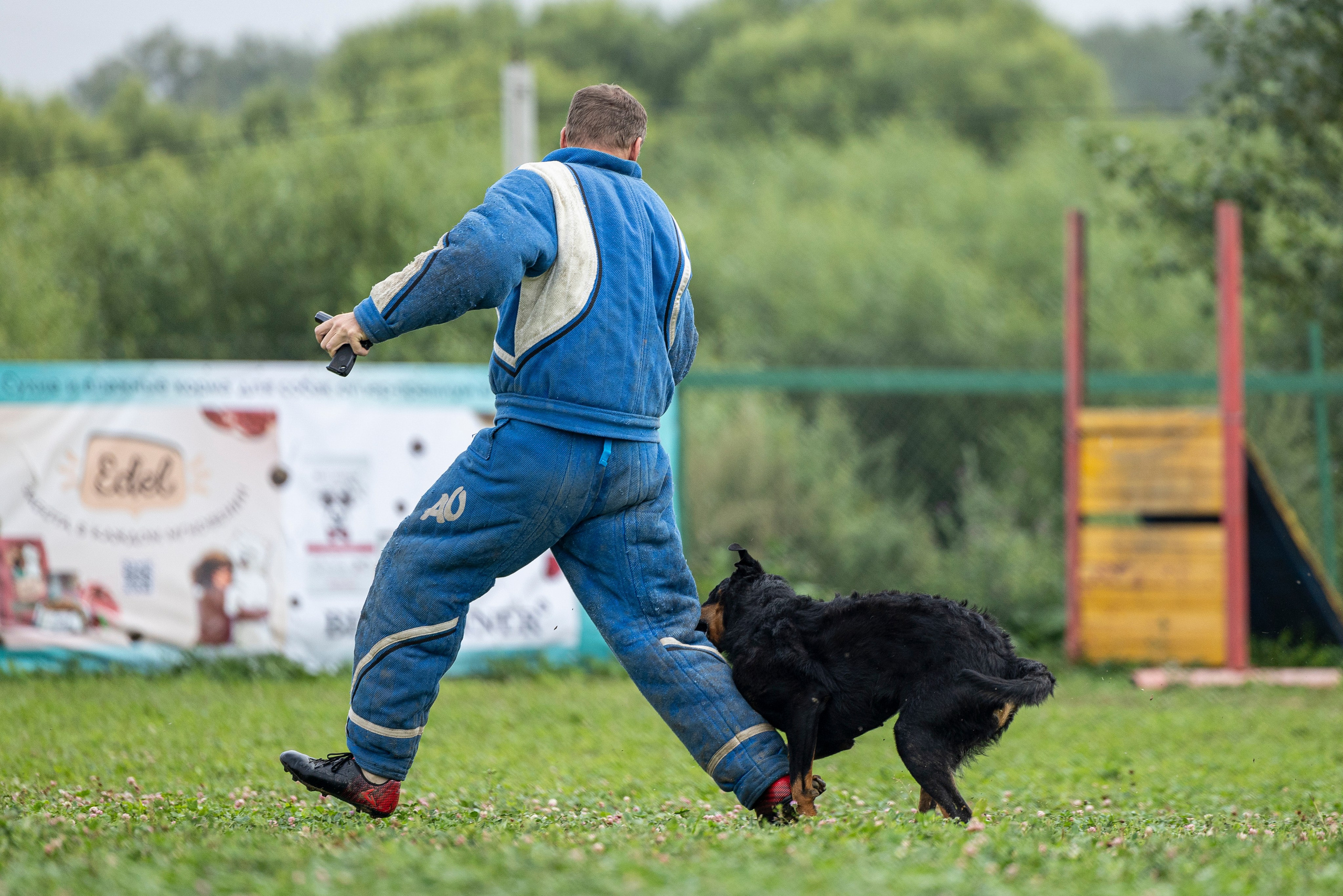 Соревнования по Мондьорингу г. Вологда 10-11.08.2024. Фотограф-анималист Анна Маринич
