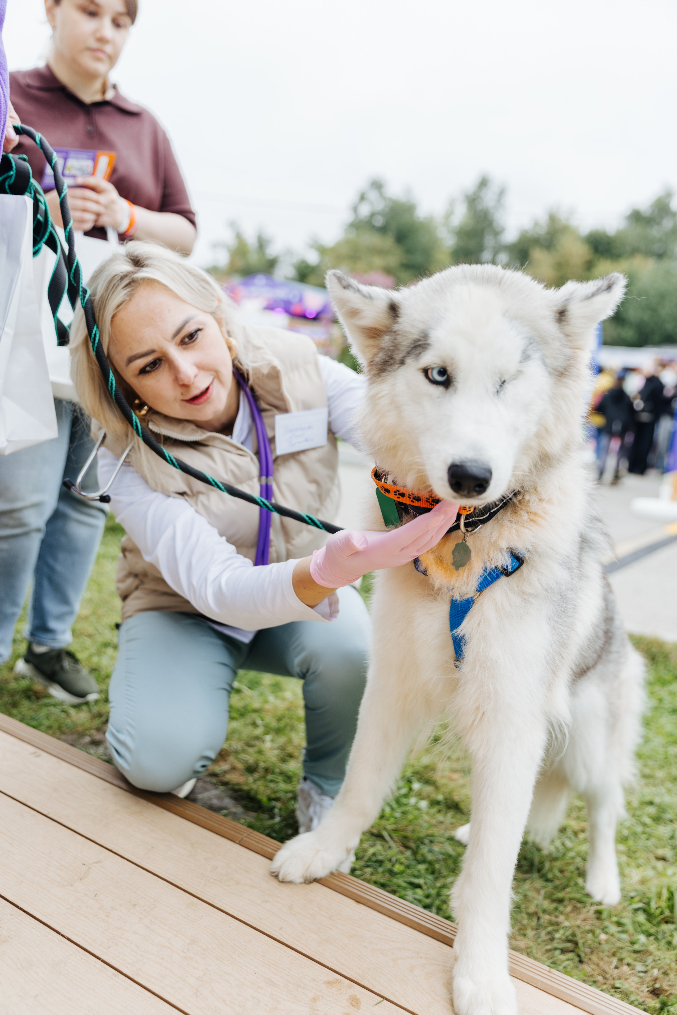 Хвостатый репортаж. Аксана Лисовская фотограф в Москве. Фотографии с характером