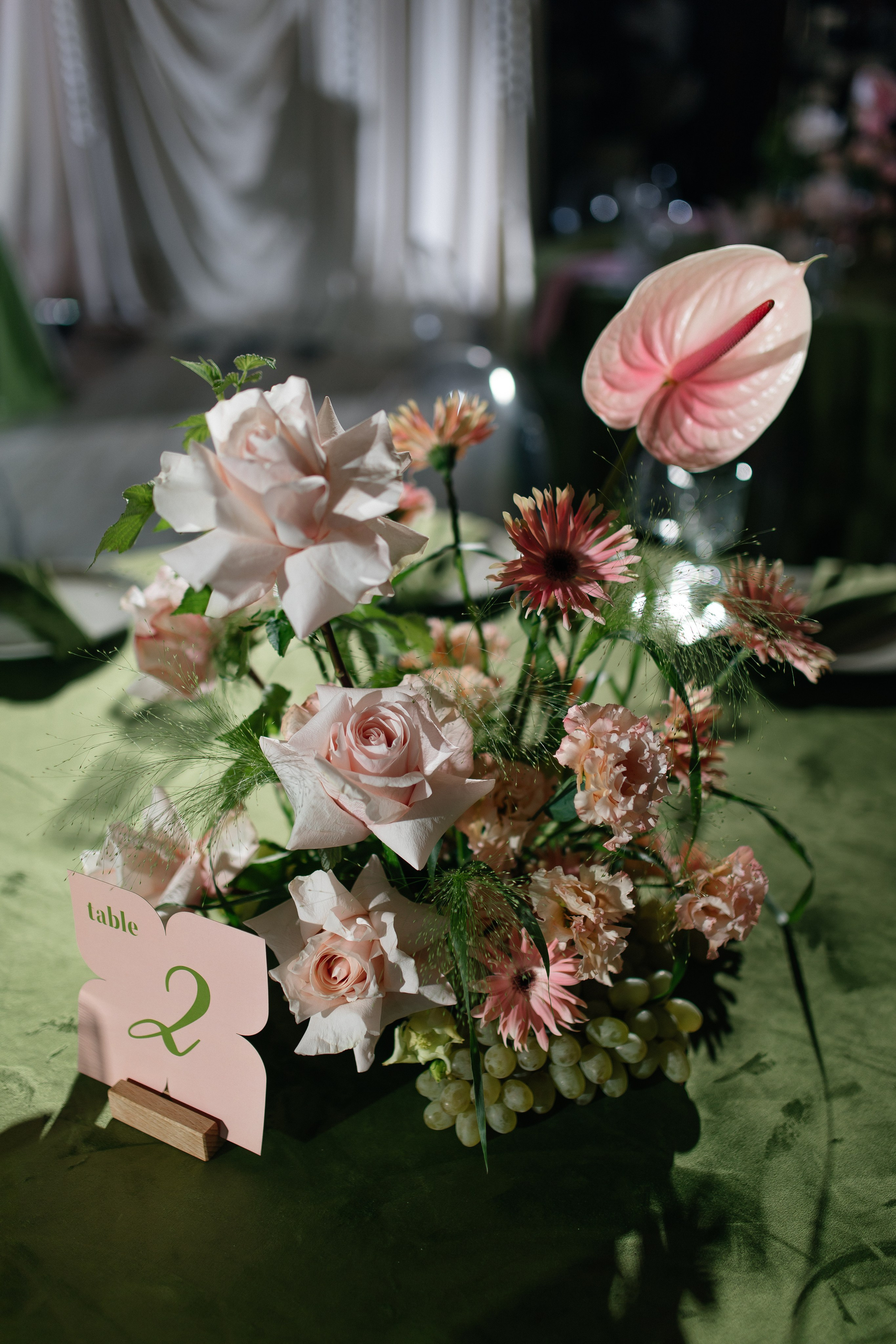 G&P. Фотограф Таганрог Хребет София