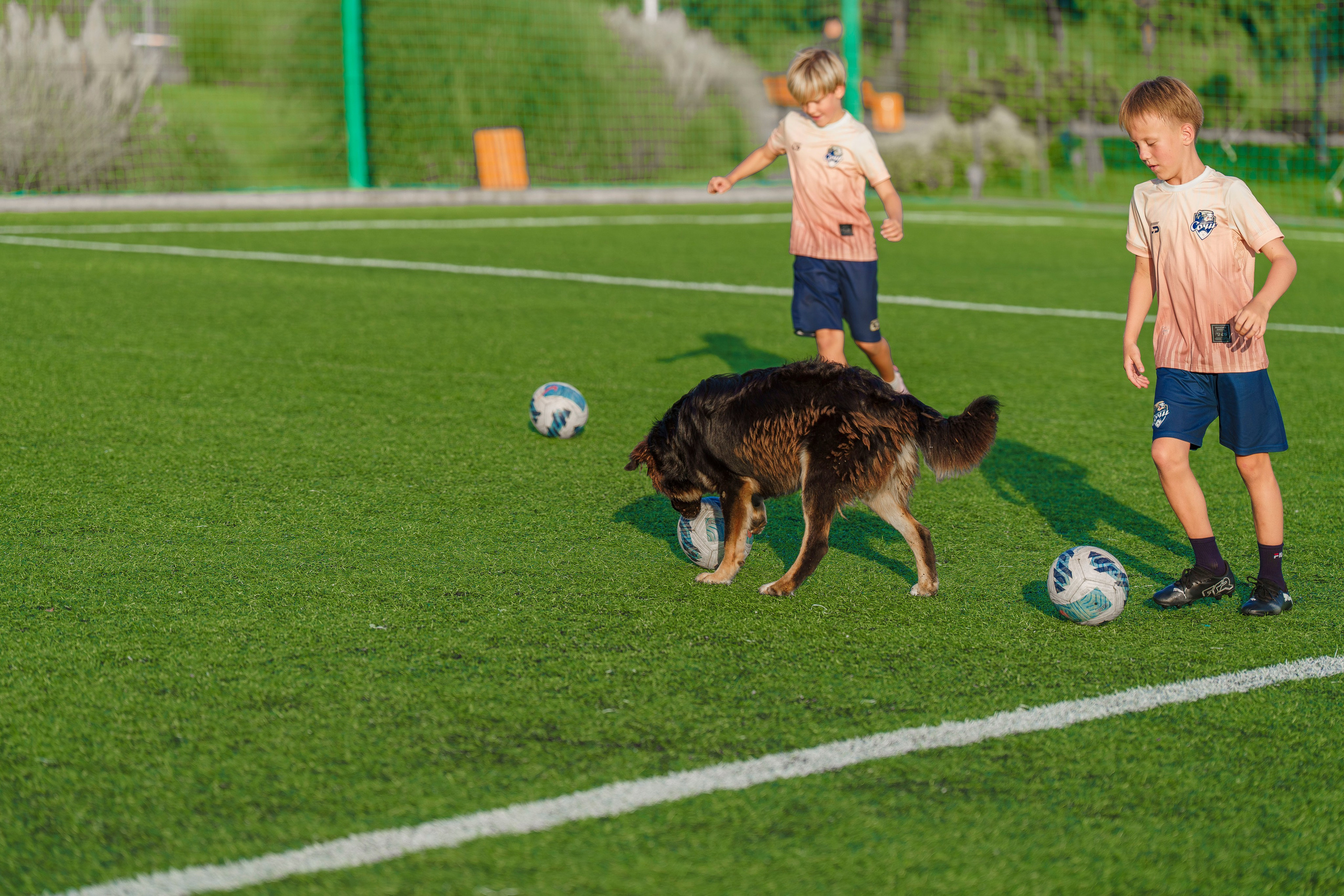 Футбол, тренировки. Фотограф видеограф Геннадий Янбаев в Сочи, Краснодаре
