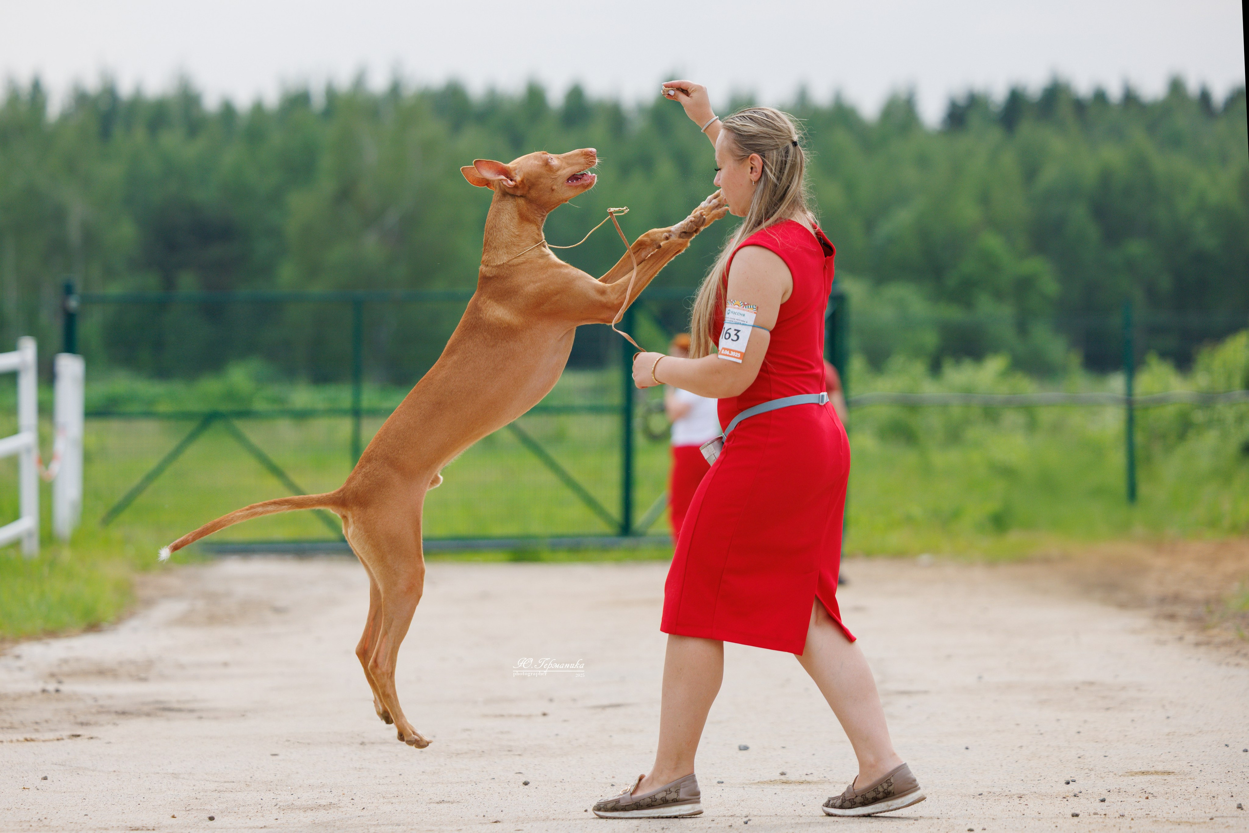 РОССИЯ 7-8.06.2025. Фотограф-анималист Юлия Германика