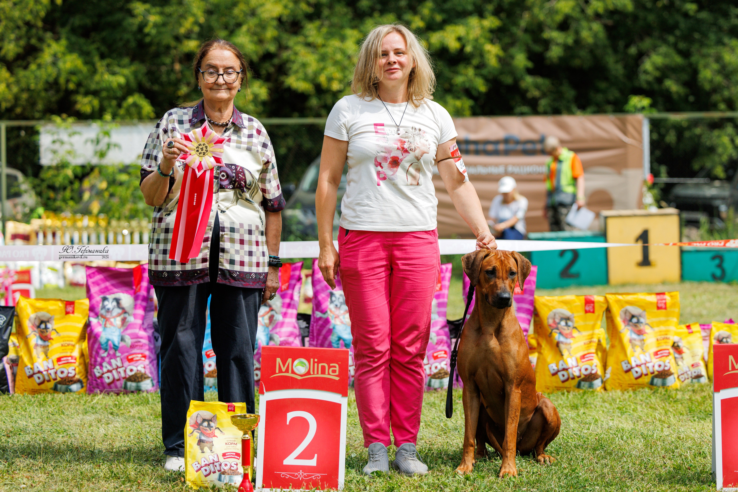 Ярославль 21.07.24 и Балашиха 13.07.24. Фотограф-анималист Юлия Германика