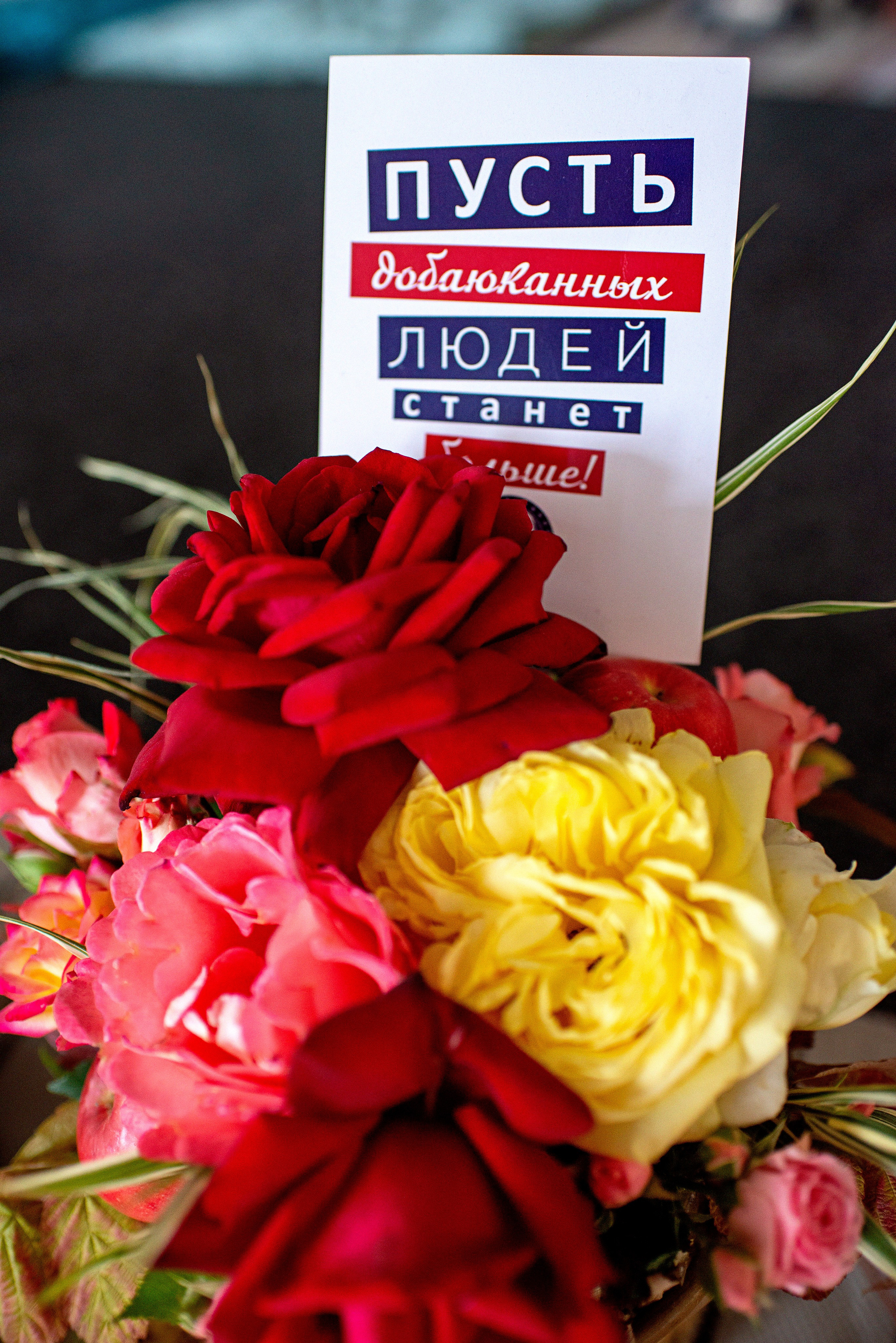 Слет Мастеров Добаюкивания. Репортаж. Фотограф в Казани Надежда Вальшина. Свадебные, семейные, детские, индивидуальные фотосессии