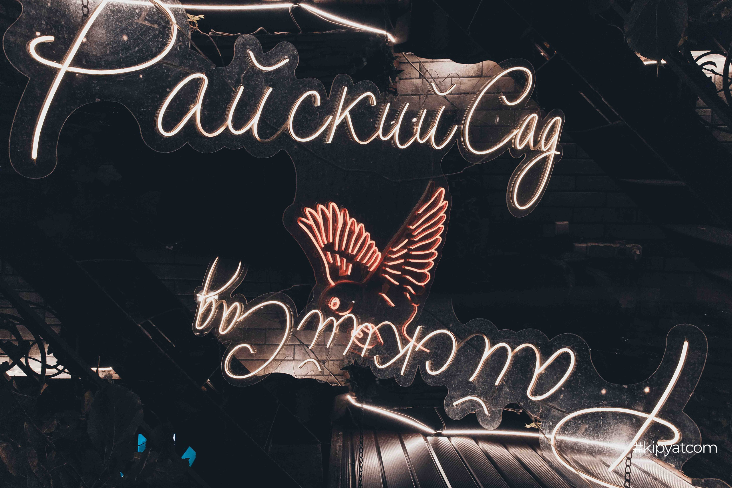 Райский сад