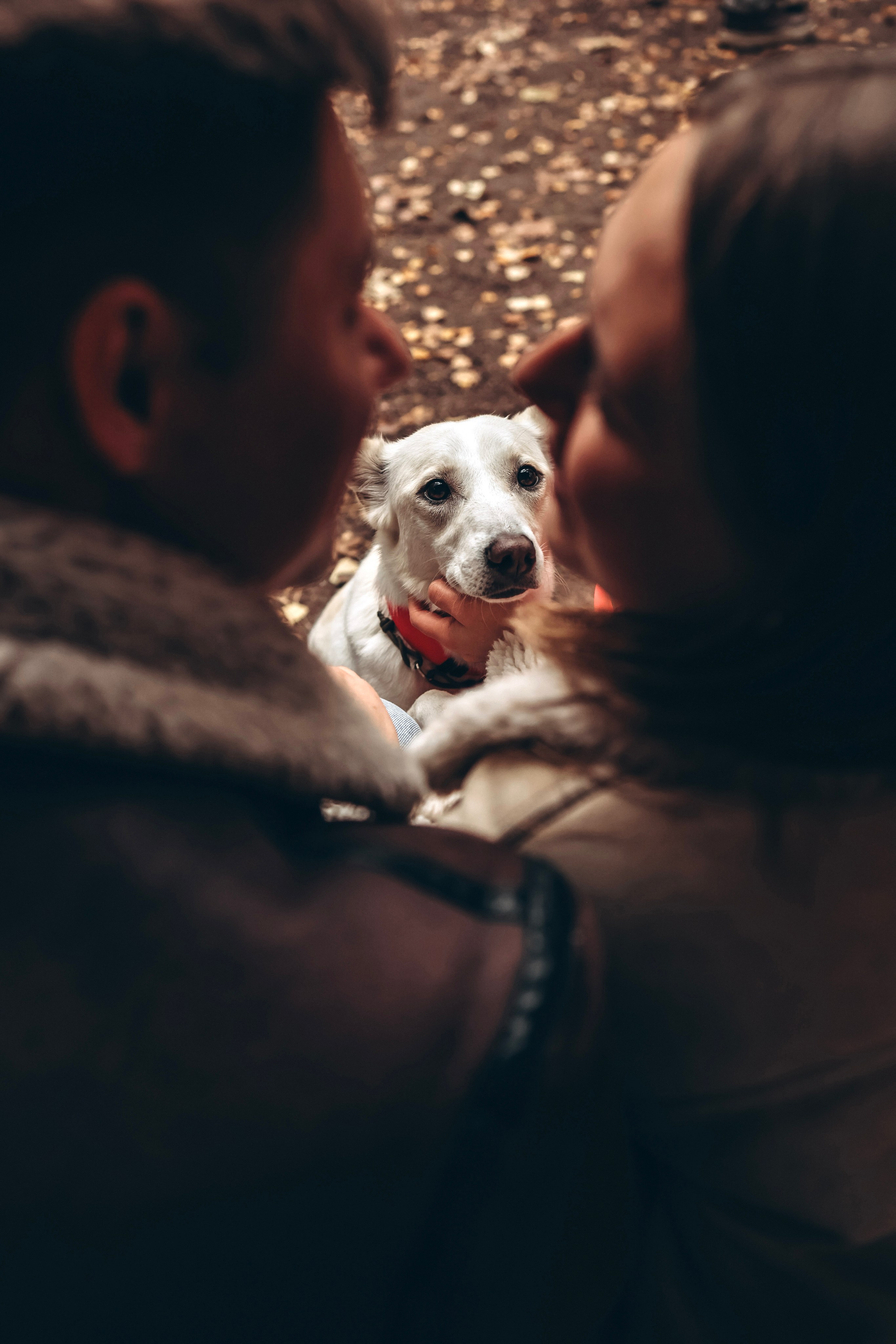 ЮЛИЯ КОНДРАТЬЕВА, ВАШ СЕМЕЙНЫЙ ФОТОГРАФ