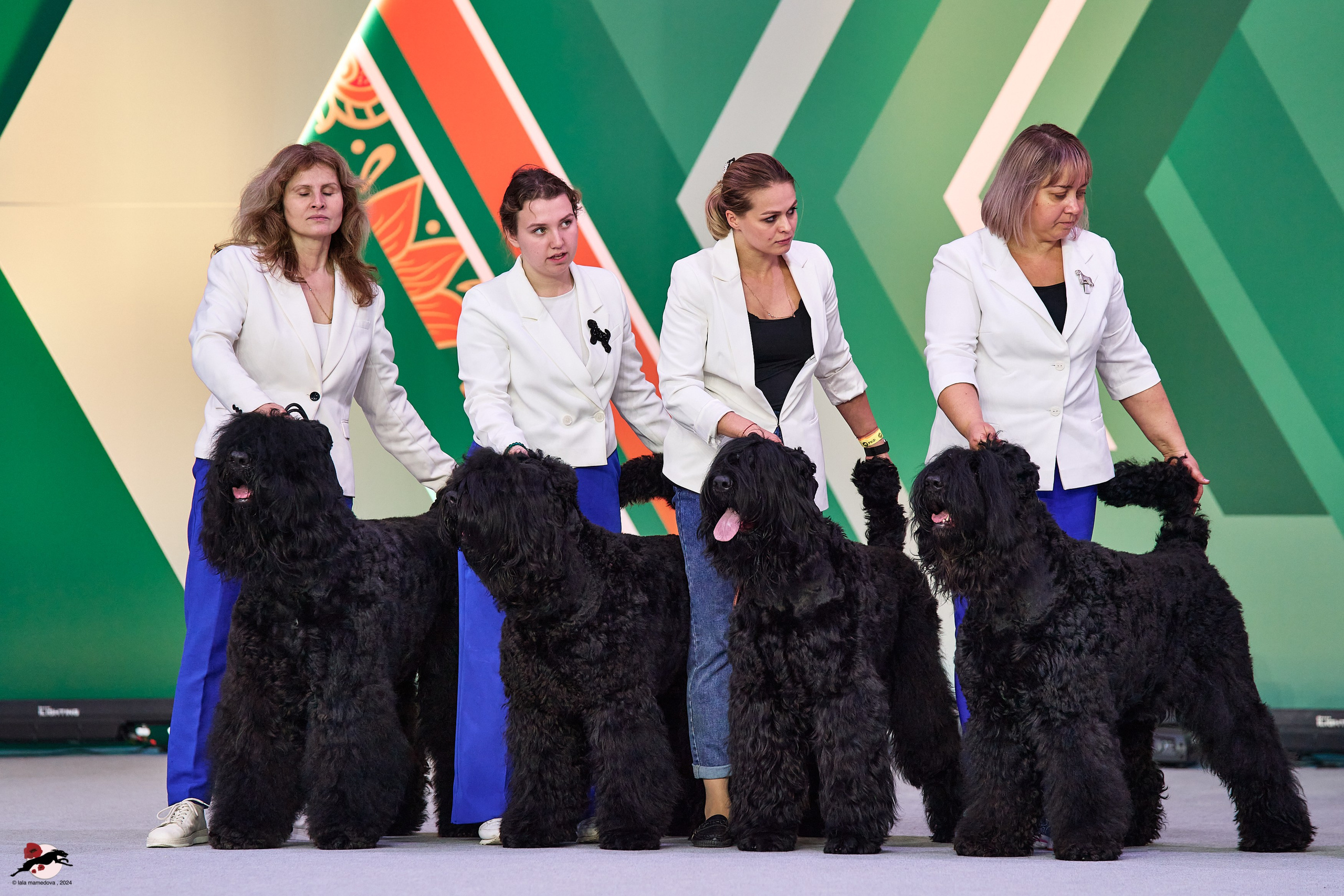 17.11.2024 «ЕВРАЗИЯ. КУБОК СНГ 2024»