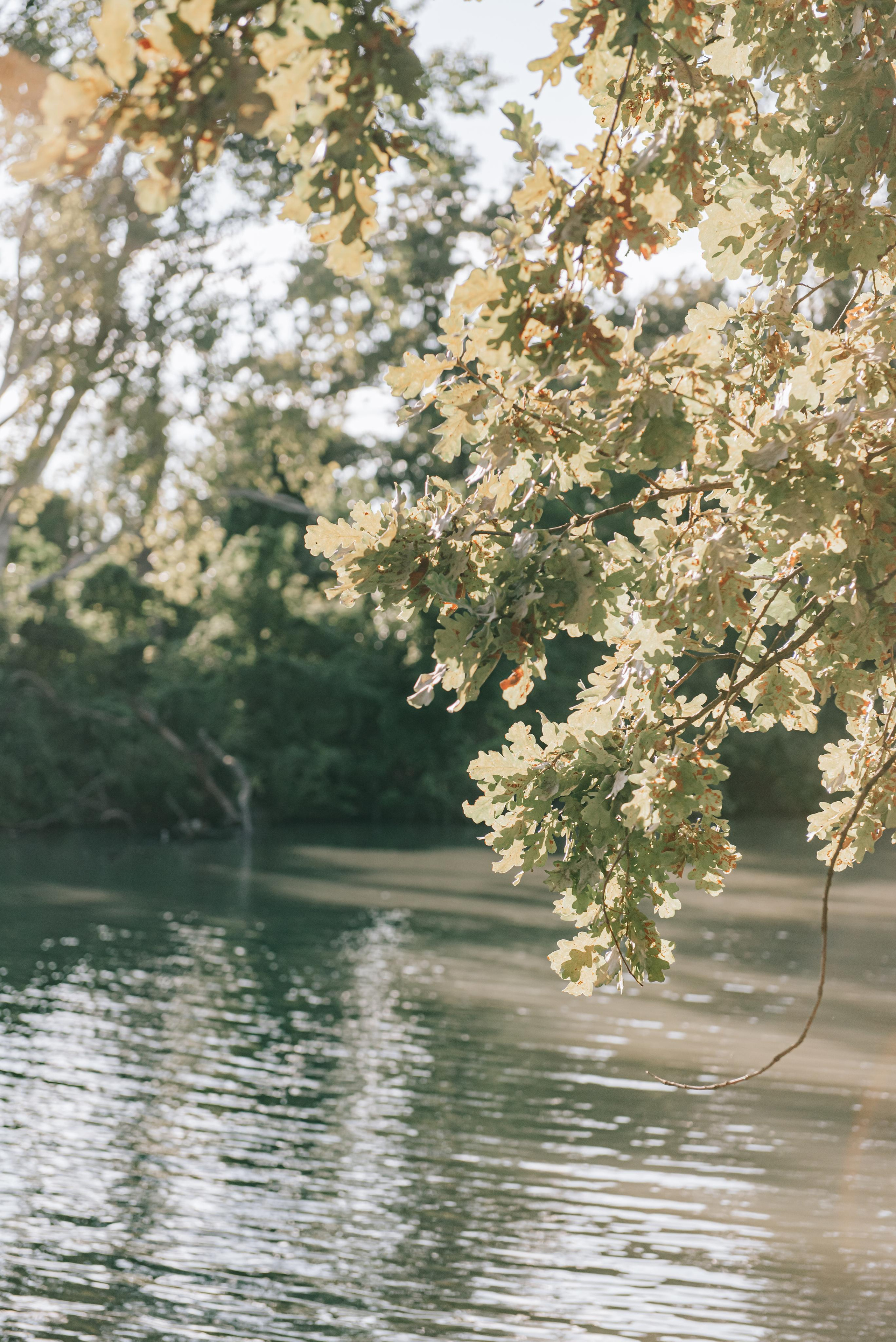 Андрей и Марина. Фотограф в Краснодаре Зеленкина Дарья