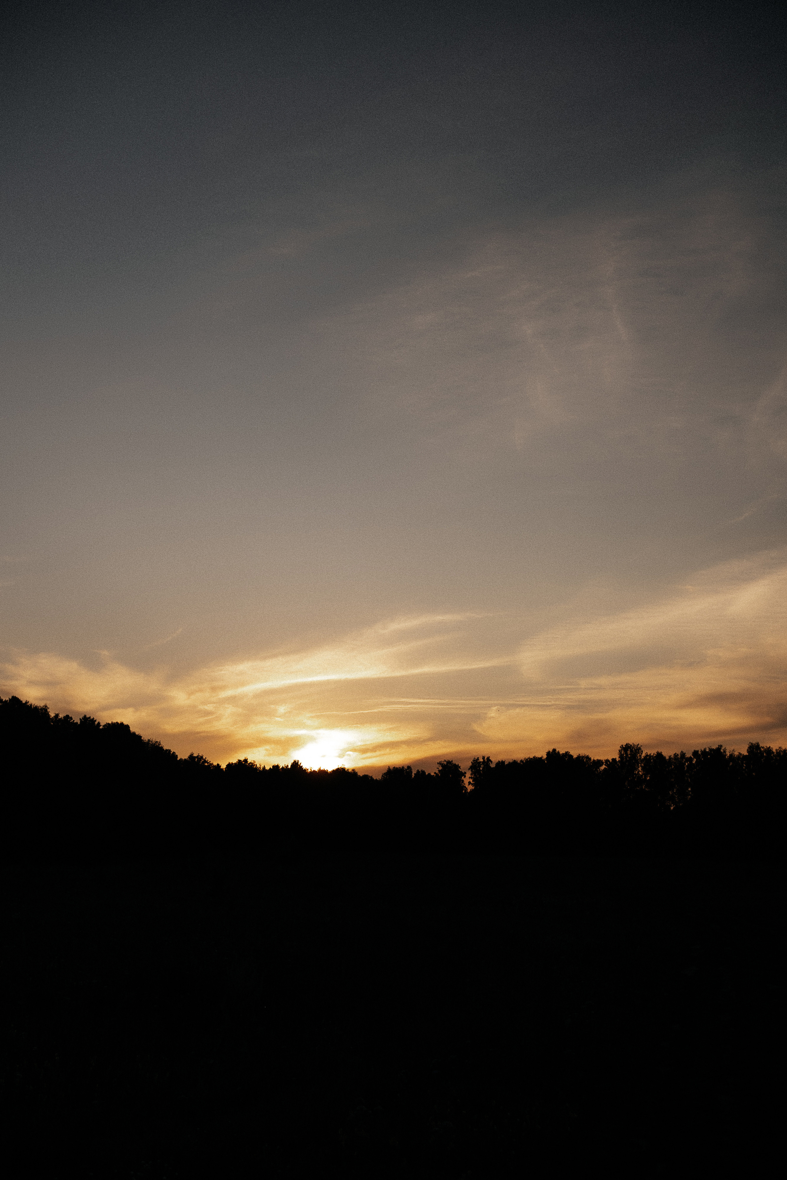 Кирилл_Карина. Свадебный и семейный фотограф Барнаул Рубцовск Бийск Алтайский край