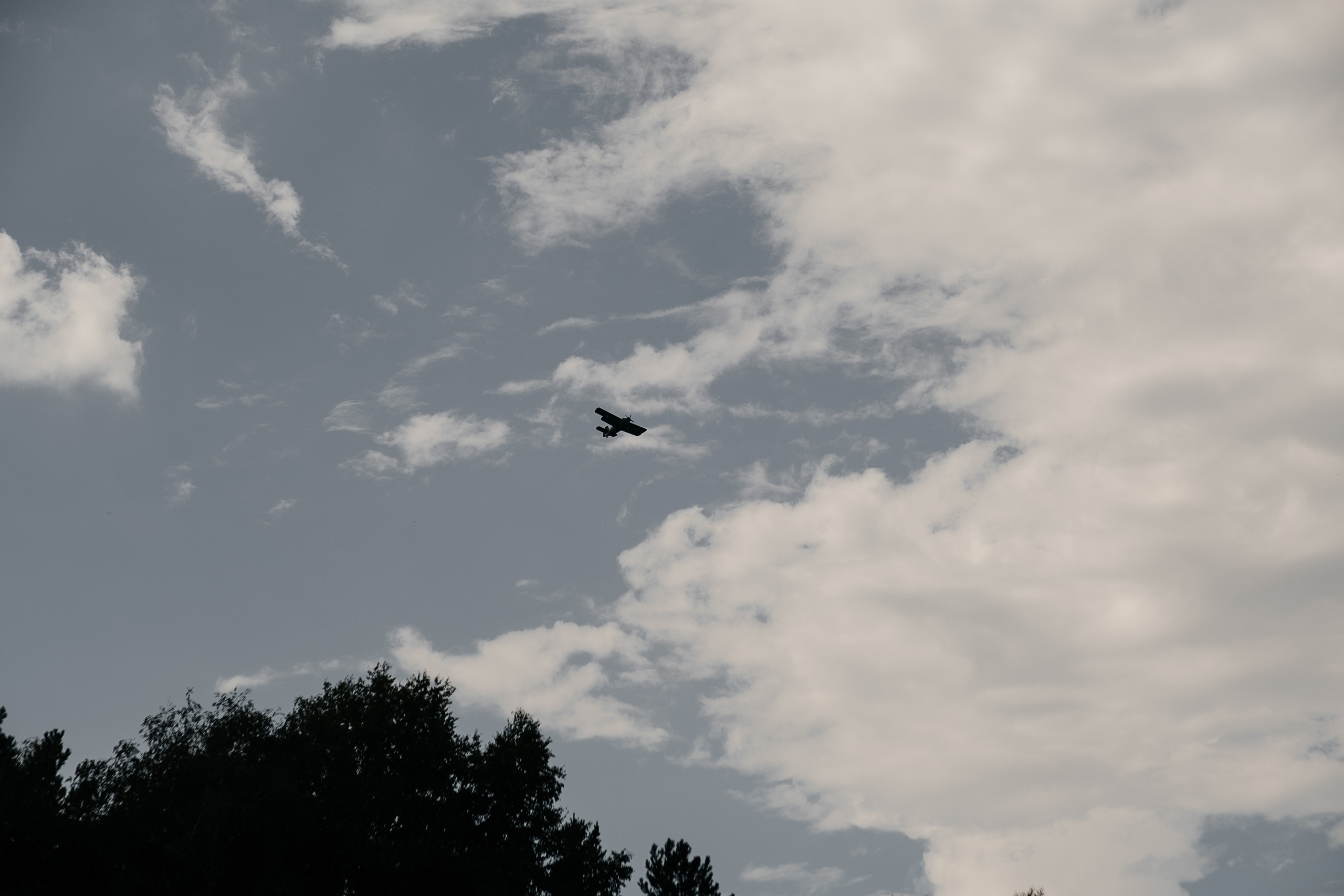 Кирилл_Карина. Свадебный и семейный фотограф Барнаул Рубцовск Бийск Алтайский край